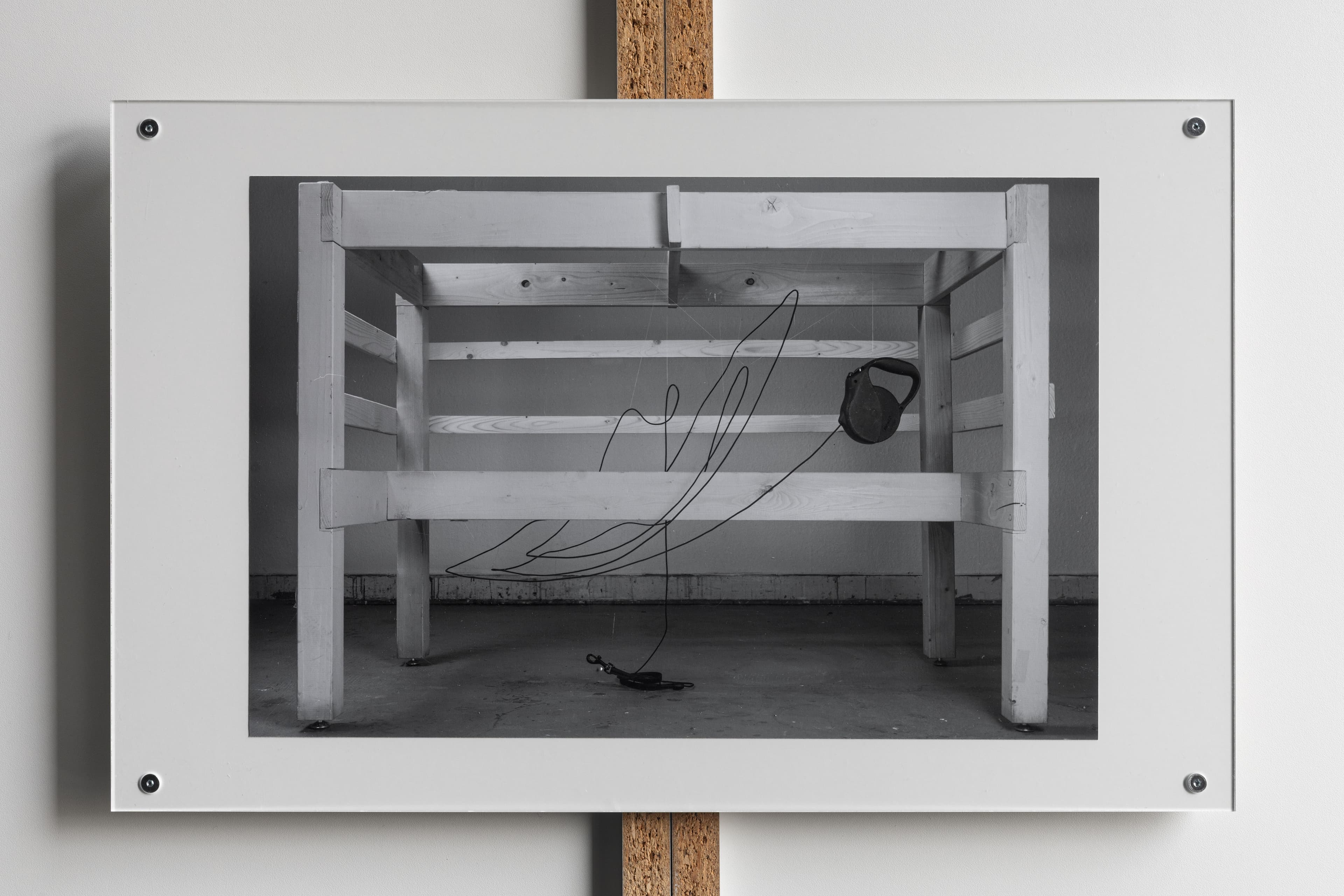 Aerin Hong, Dog Leash 8m, 2026, digital print in artist frame, 22.5 x 34 cm (print), 28.5 x 45 cm (framed). Courtesy of the artist and Petrine.