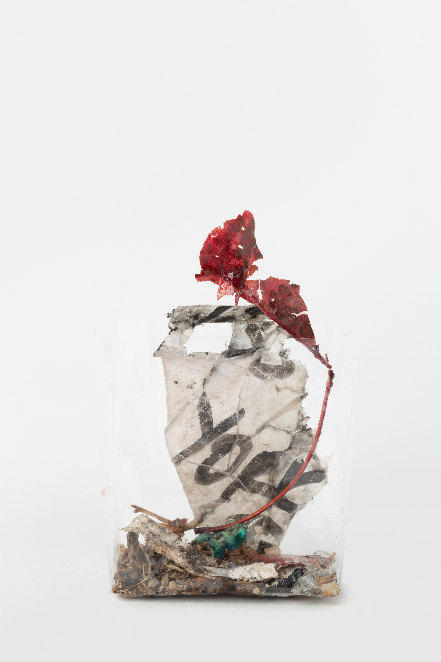 Yuji Agematsu, Zip: 01-01-2024 – 12-31-2024, 2024, mixed media in cigarette pack cellophane wrappers on powder- coated aluminum shelves 366 wrappers, each ca. 5.7 x 5.4 x 1.9 cm 62 shelves, each 0.5 x 84 x 12 cm Detail of 11-01-2024 – 11-30-2024. Courtesy of the artist and Galerie Buchholz.