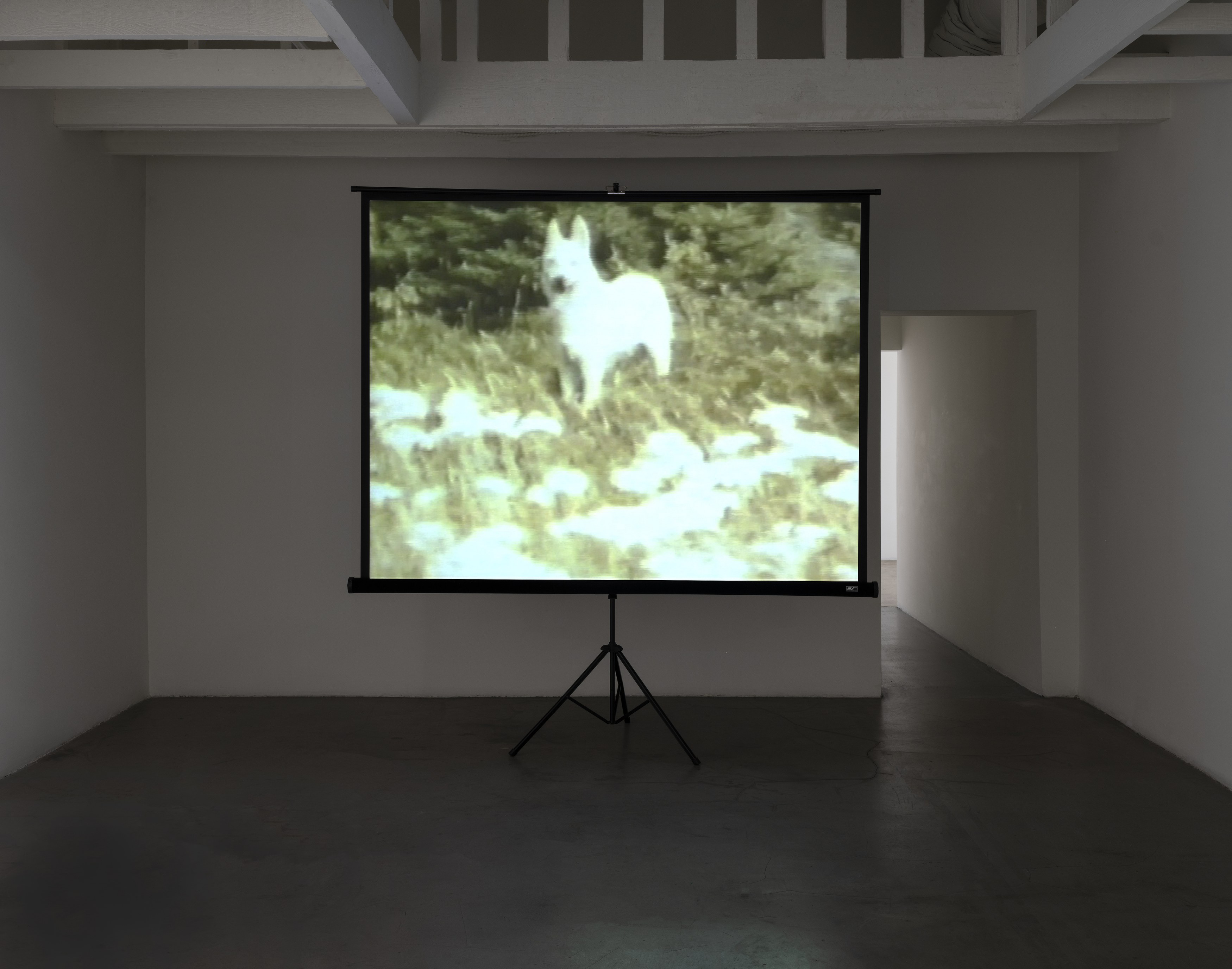 Installation view, Joan Jonas and Silke Otto-Knapp, 2026. Courtesy of Michael Benevento and Kristina Kite, Los Angeles