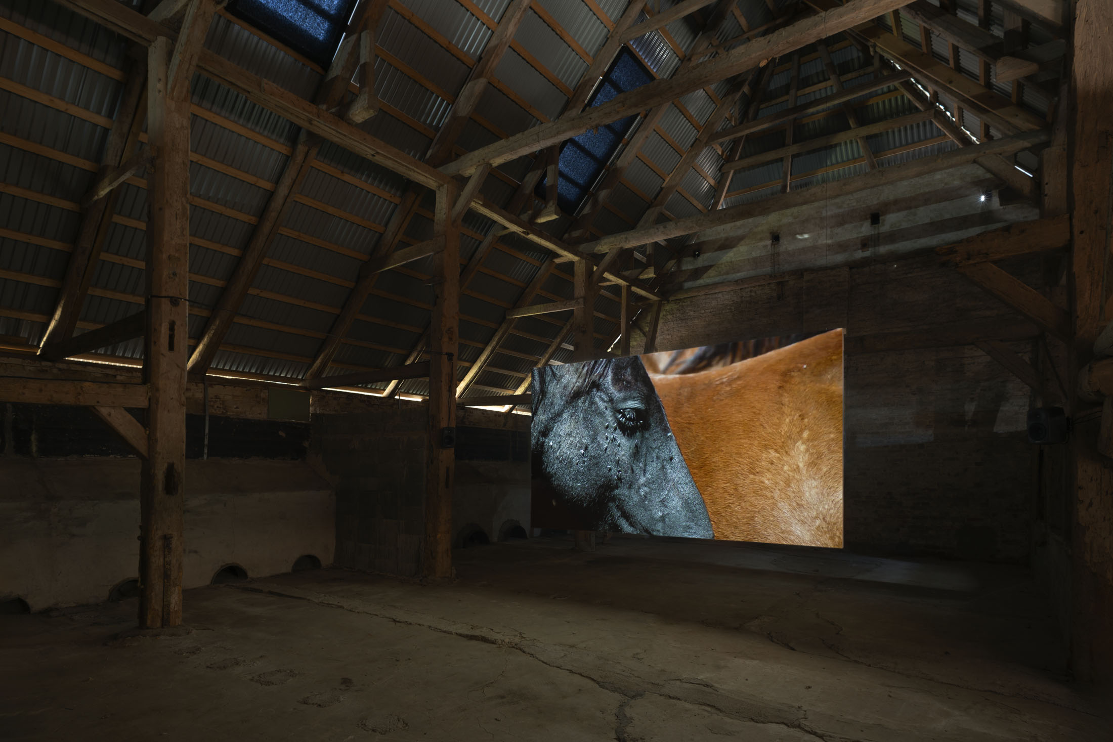 Installation view, Yalda Afsah: Surge, 2026. Courtesy of the artist and Kunsthal Thy / Photos: ©Jacob Friis-Holm Nielsen.