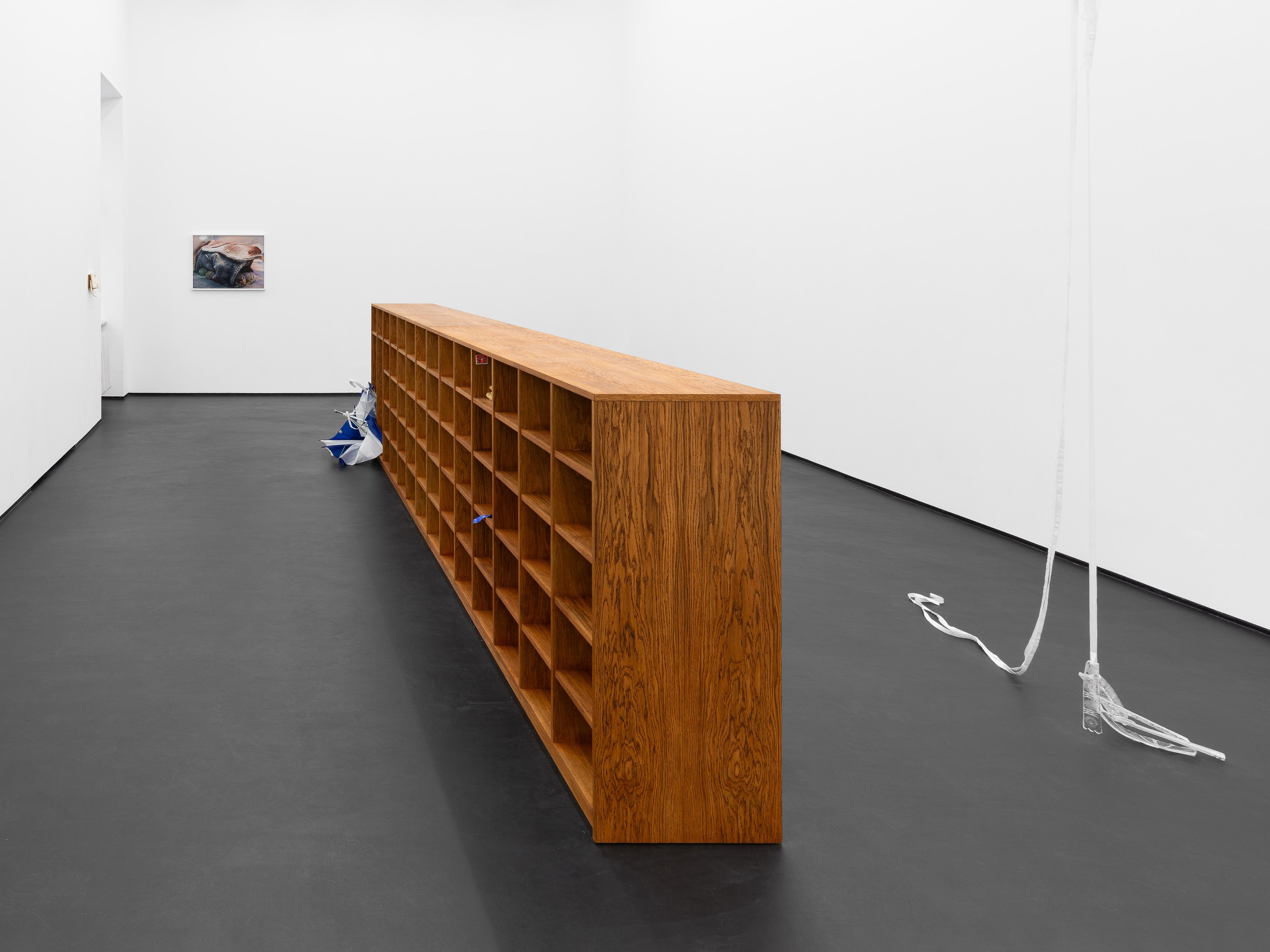 Installation view, Linda Lach and Diane Severin Nguyen, 2026. Courtesy of the artists and Gunia Nowik Gallery.