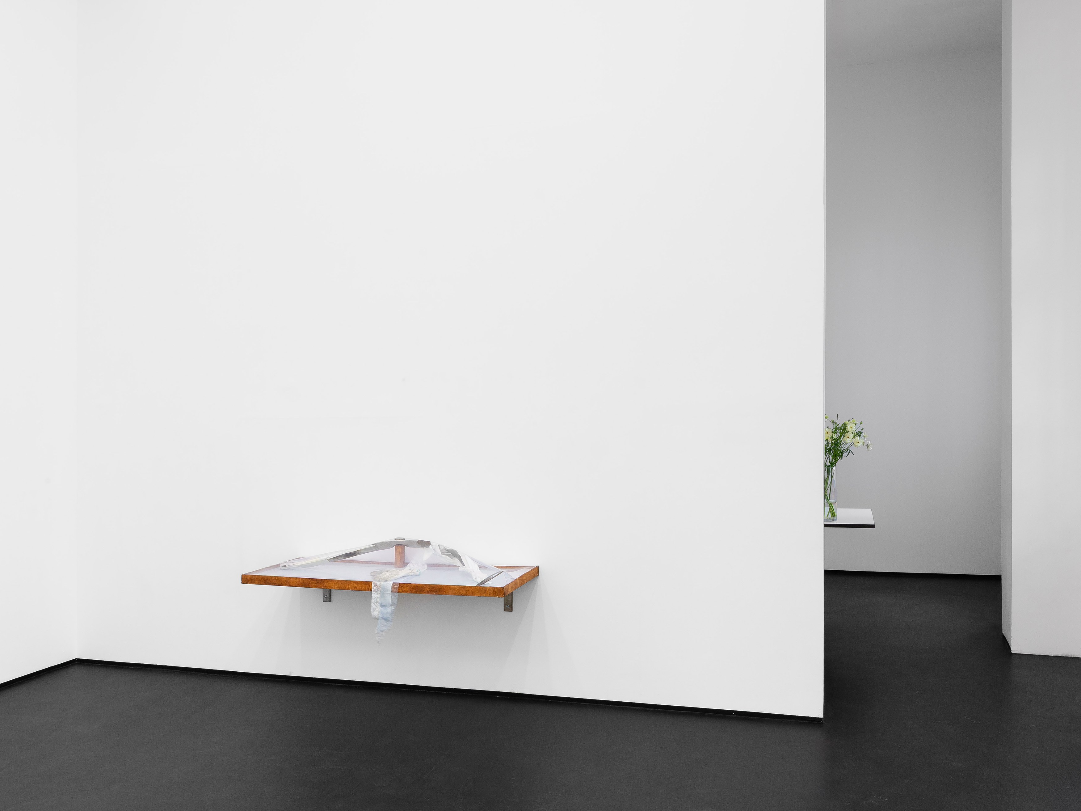 Installation view, Linda Lach and Diane Severin Nguyen, 2026. Courtesy of the artists and Gunia Nowik Gallery.