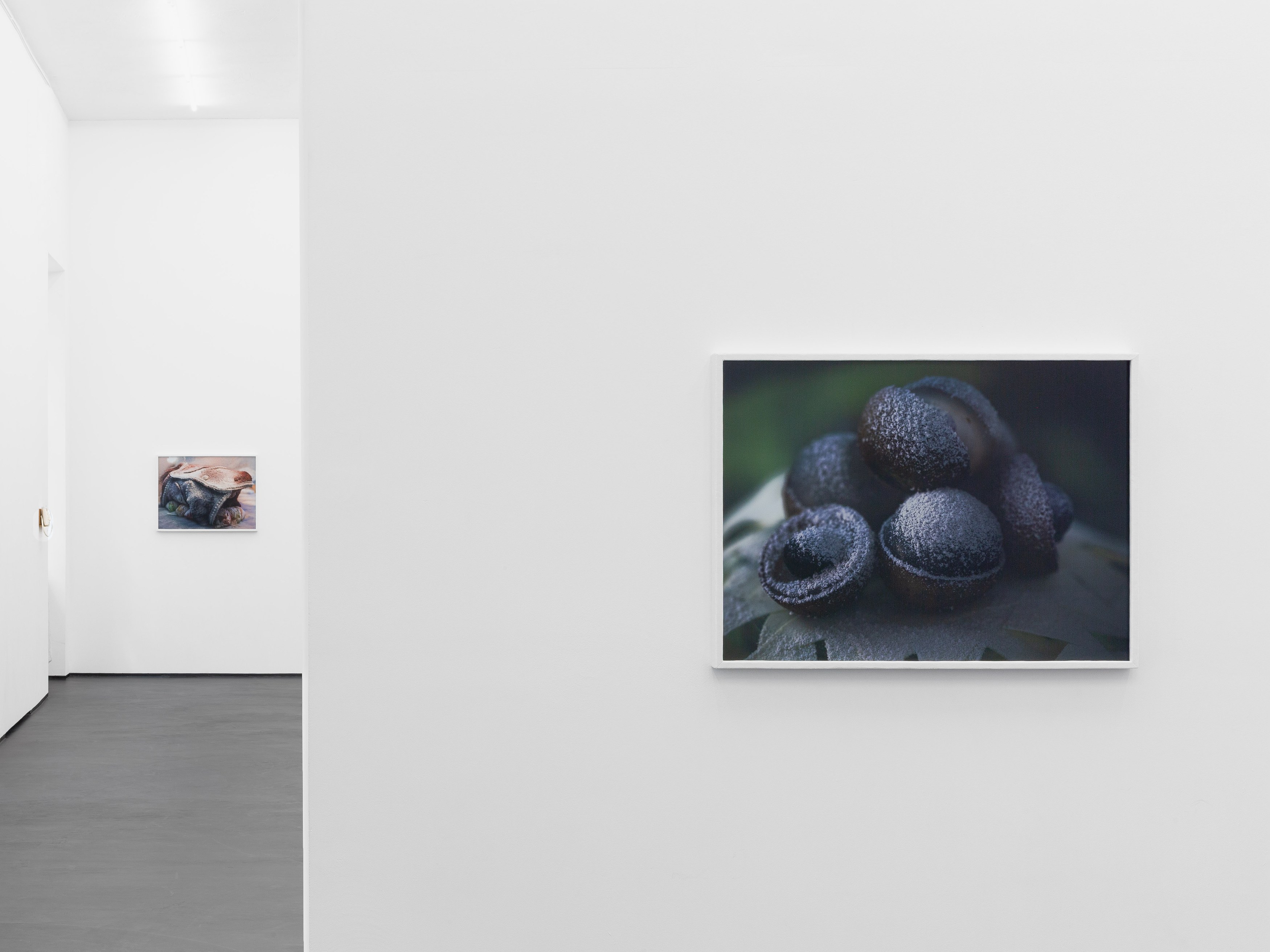 Installation view, Linda Lach and Diane Severin Nguyen, 2026. Courtesy of the artists and Gunia Nowik Gallery.
