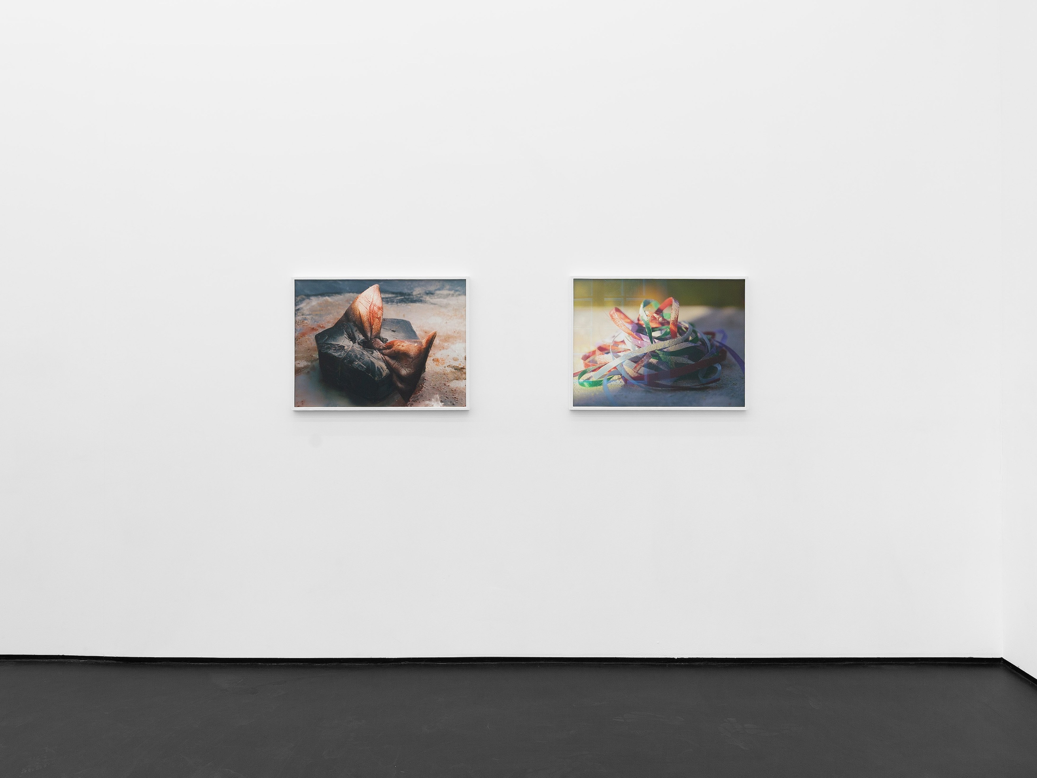 Installation view, Linda Lach and Diane Severin Nguyen, 2026. Courtesy of the artists and Gunia Nowik Gallery.