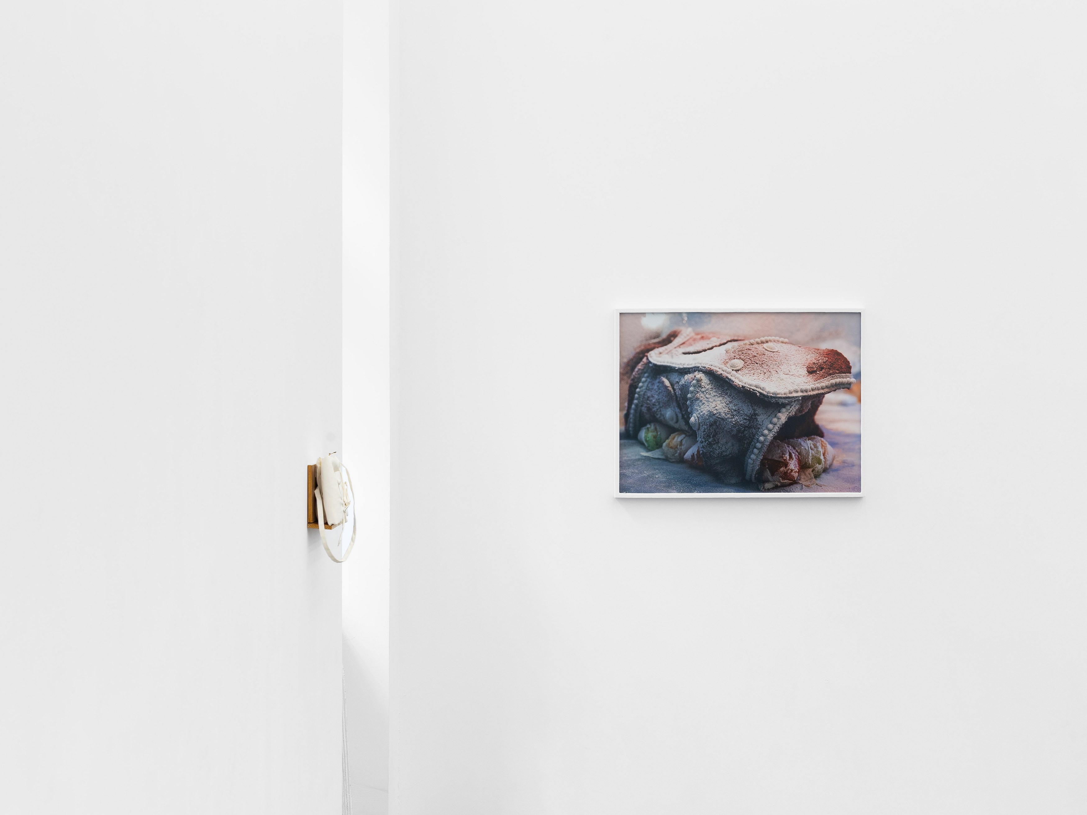 Installation view, Linda Lach and Diane Severin Nguyen, 2026. Courtesy of the artists and Gunia Nowik Gallery.