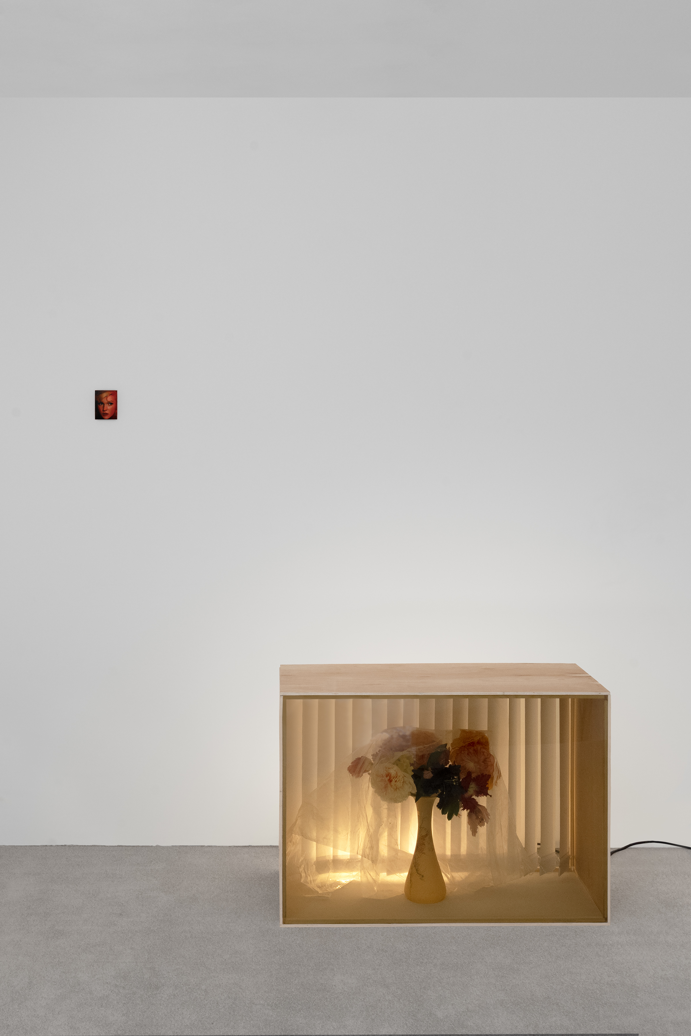 Installation view, You're only happy when you can see something die!, 2026. Photography by Dominique Croshaw, courtesy of NEVEN and the artists.