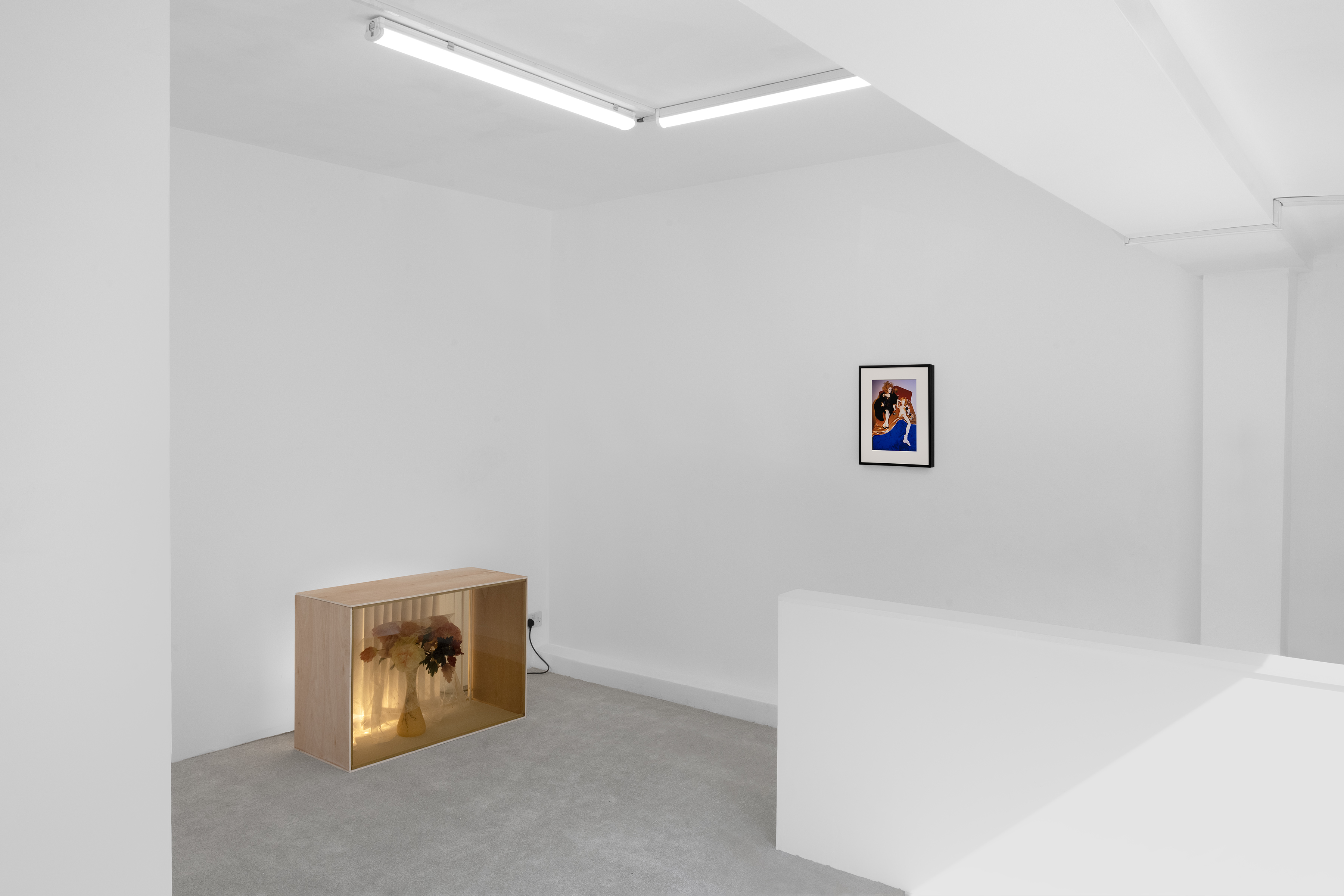 Installation view, You're only happy when you can see something die!, 2026. Photography by Dominique Croshaw, courtesy of NEVEN and the artists.