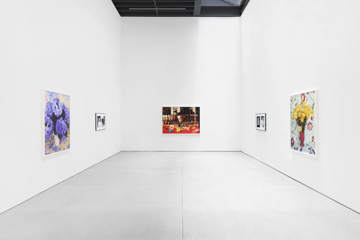 Installation View, Nobuyoshi Araki and Roe Ethride, 2026. Courtesy of the artists and Anton Kern Gallery, New York.