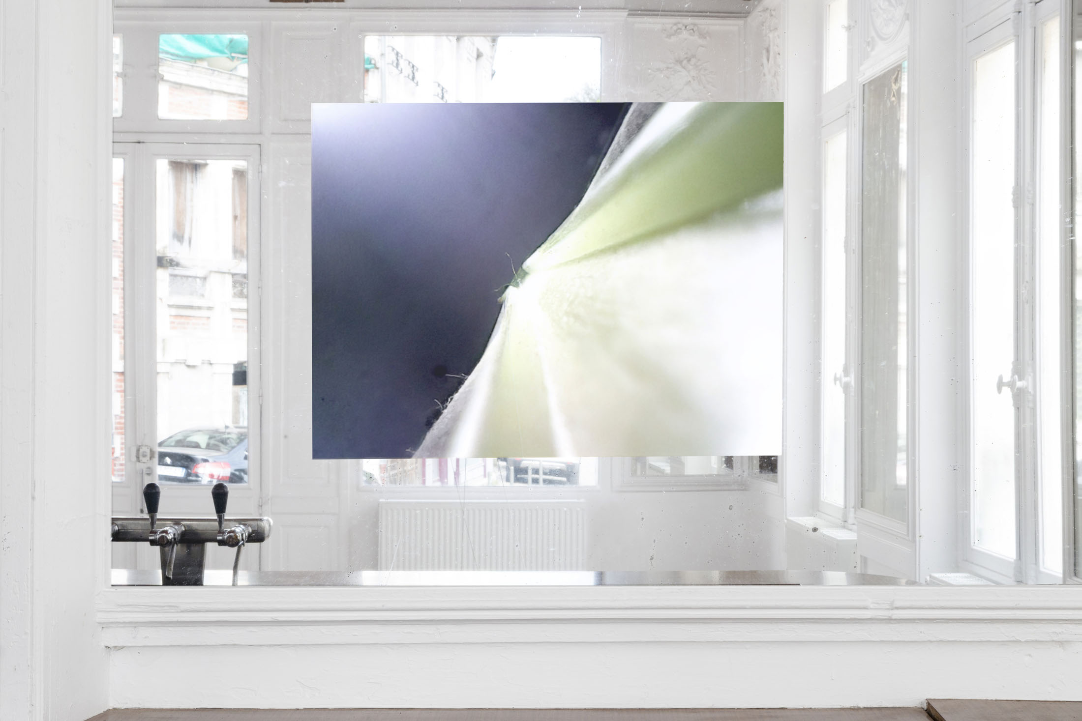 Alexandre Khondji, Single Insert, 2026, video stream (endoscopic camera), video projection. Courtesy of the artist and Café des Glaces, Tonnerre.
