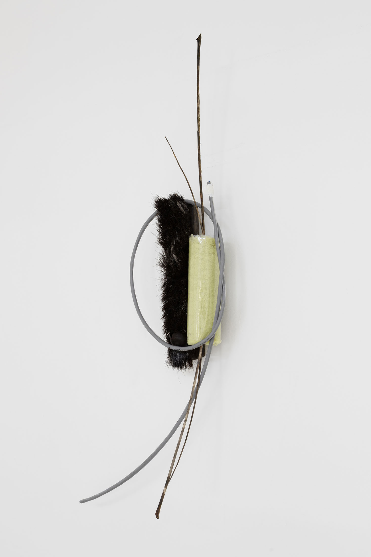 Hélène Janicot, Untitled, 2026 cable, brush, roller, branch, chestnut, , Café des Glaces, Tonnerre, 2026. Courtesy of the artist and Café des Glaces, Tonnerre.