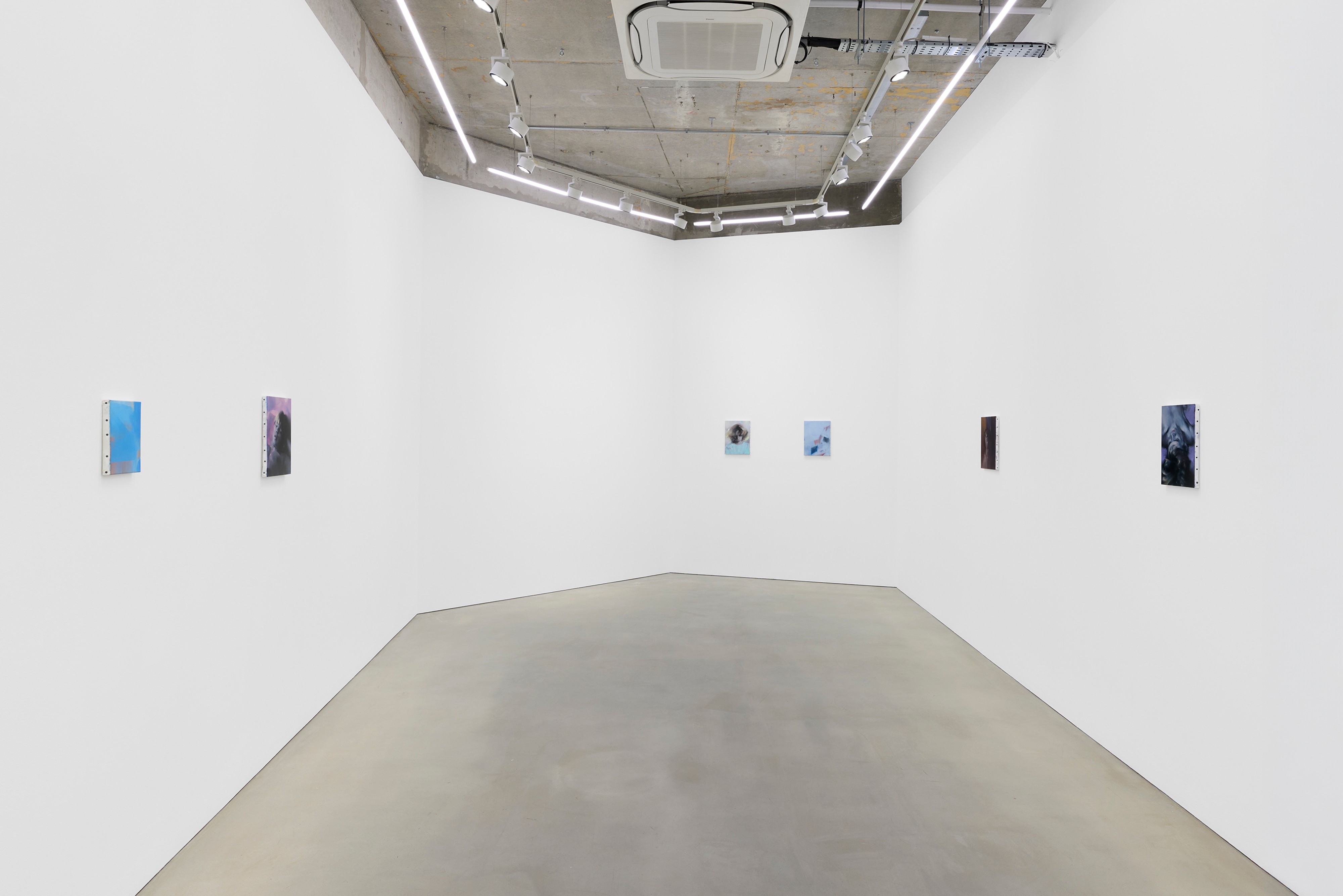 Installation view, Paul P.: The Fugitive Marvels of Sunset, 2026. Courtesy of the artist and Maureen Paley, London.