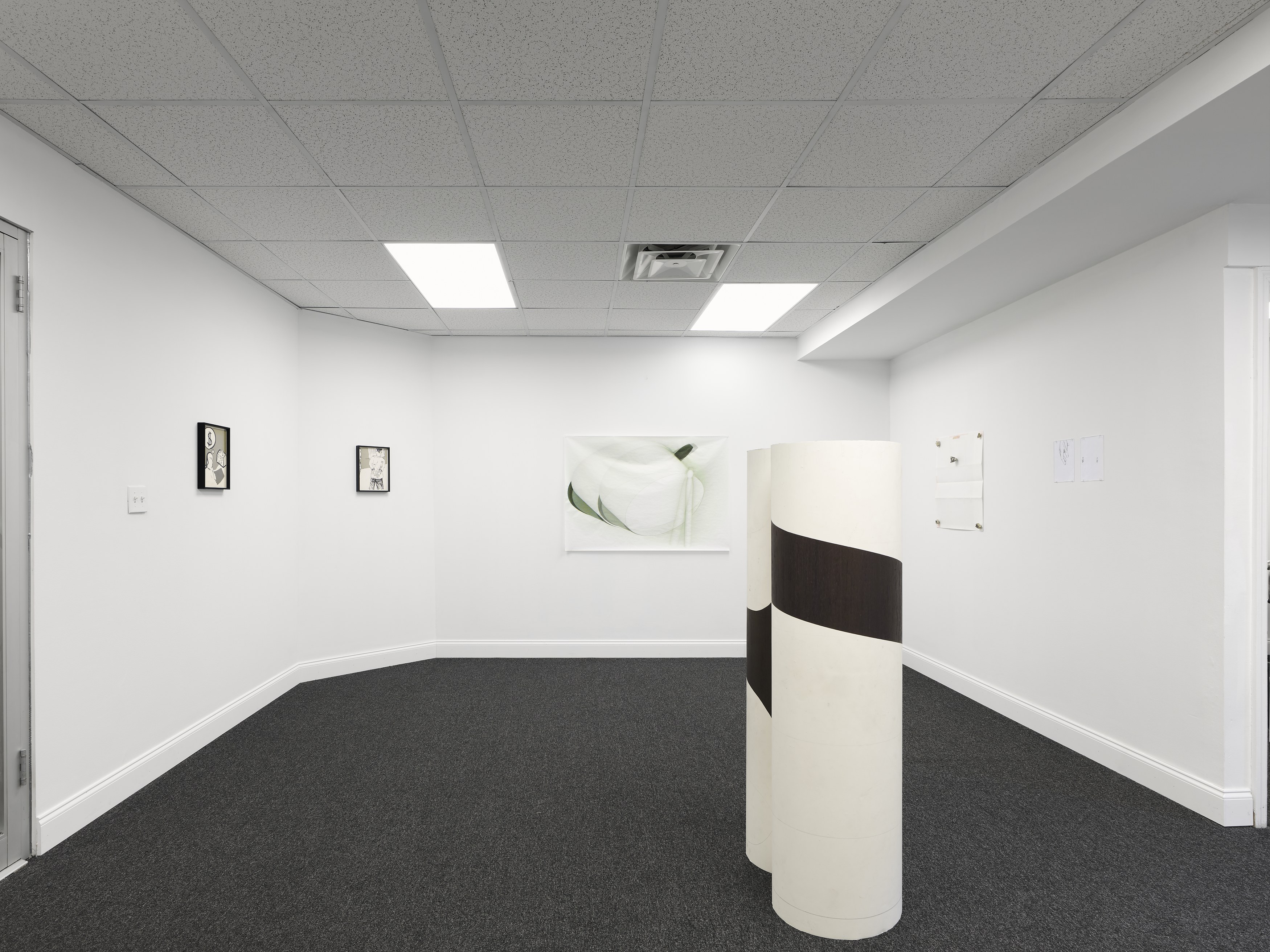 Installation view, Literature, 2026. Courtesy of the artists and Turquoise, New York.