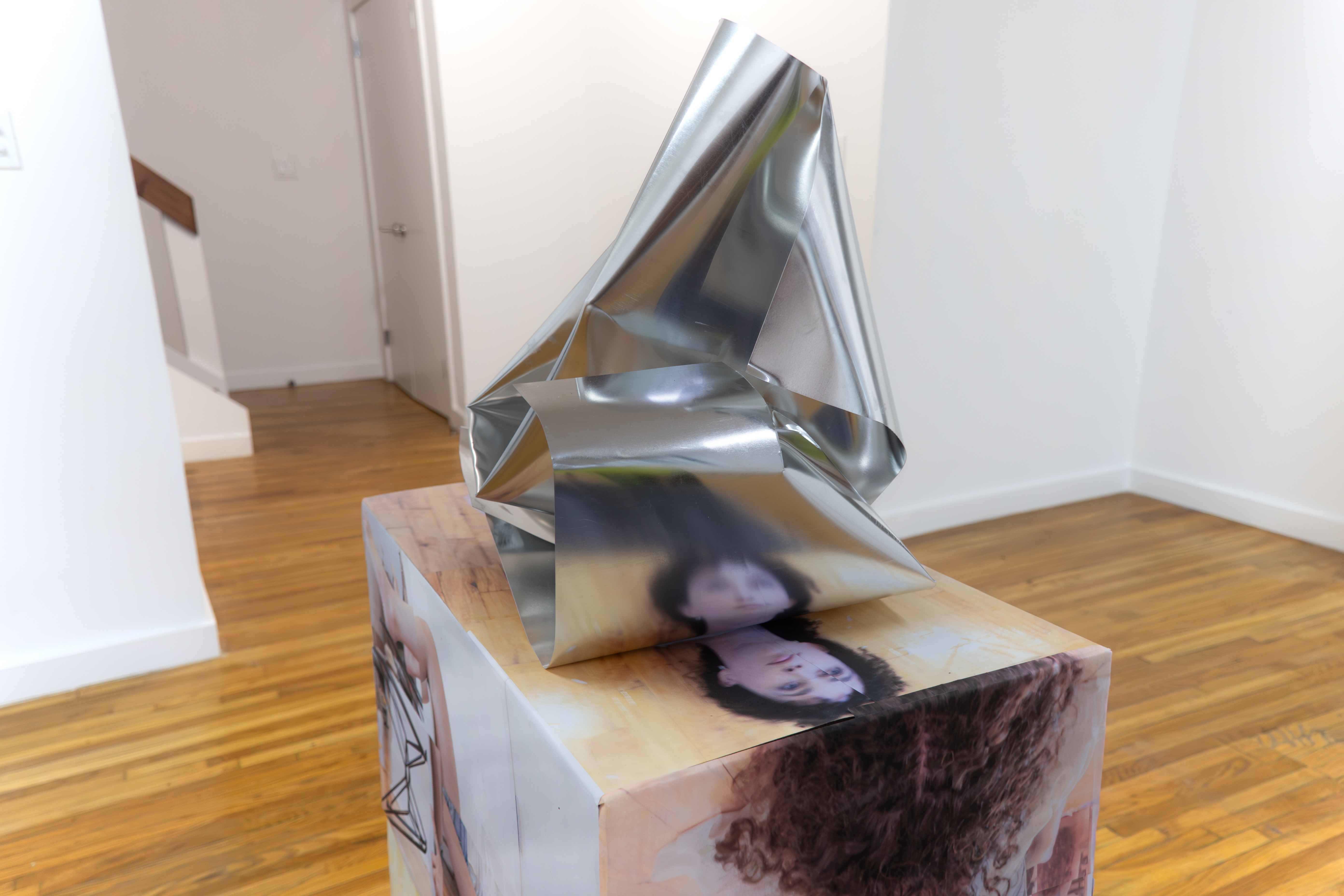 Karla Zurita, Artists, Ink on paper, cardboard, aluminum, latex, foam, grout, acrylic, steel, silicone, Dimensions Variable. Courtesy of the artist and Triest, New York.