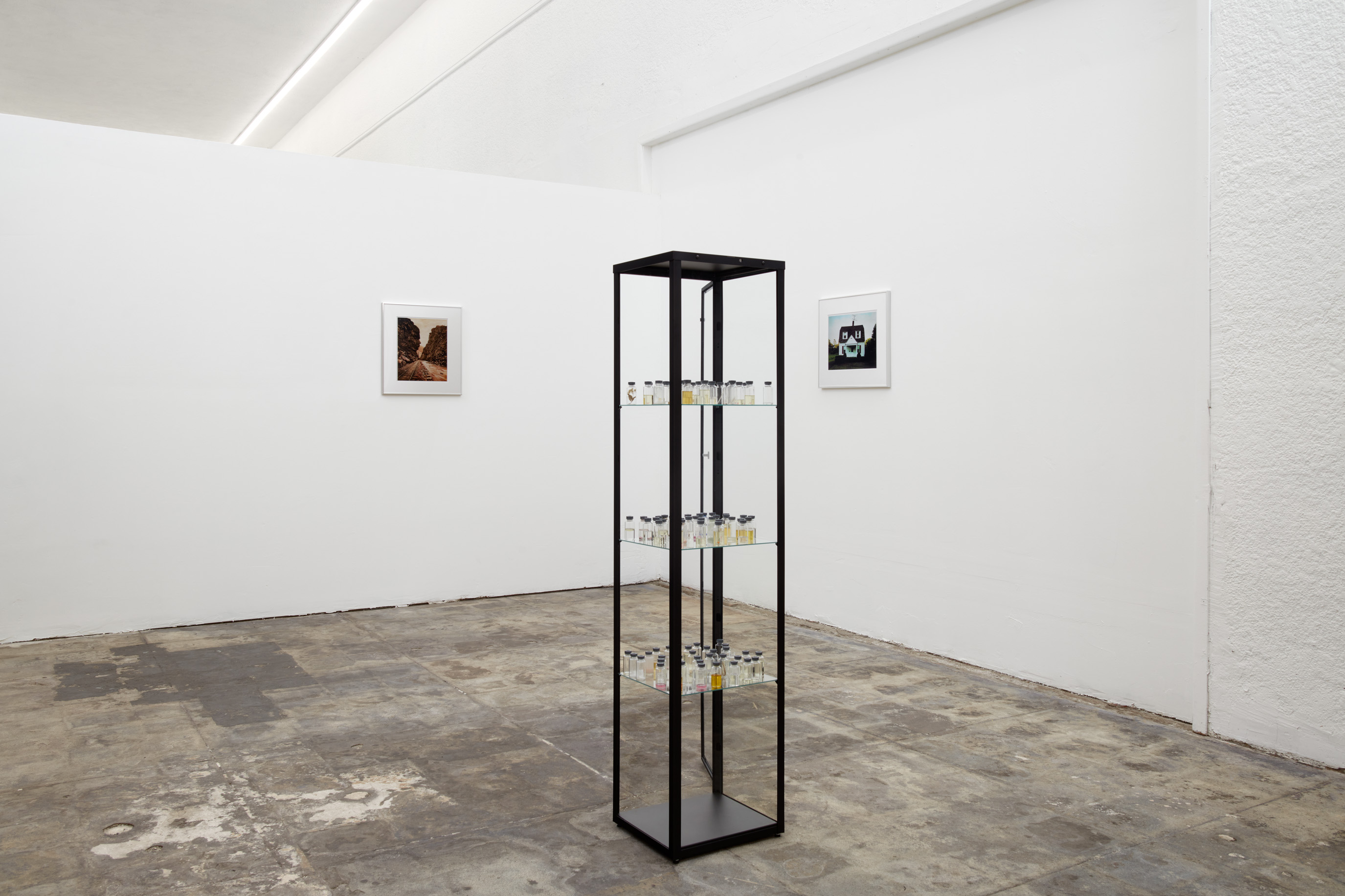 Installation view. Alone, alone, all, all alone, 2026. Image courtesy of Ehrlich Steinberg, Los Angeles. Photo: Evan Walsh.
