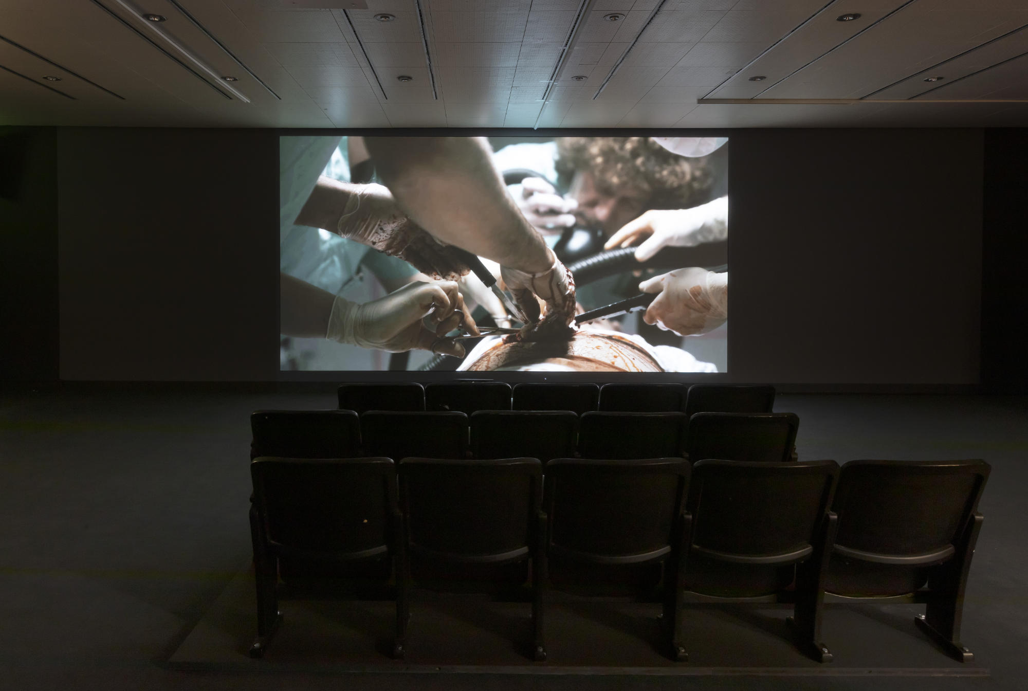 Installation view, Lebt und arbeitet in Wien, 2026. Courtesy of the artists and Kunsthalle Wien, Vienna.