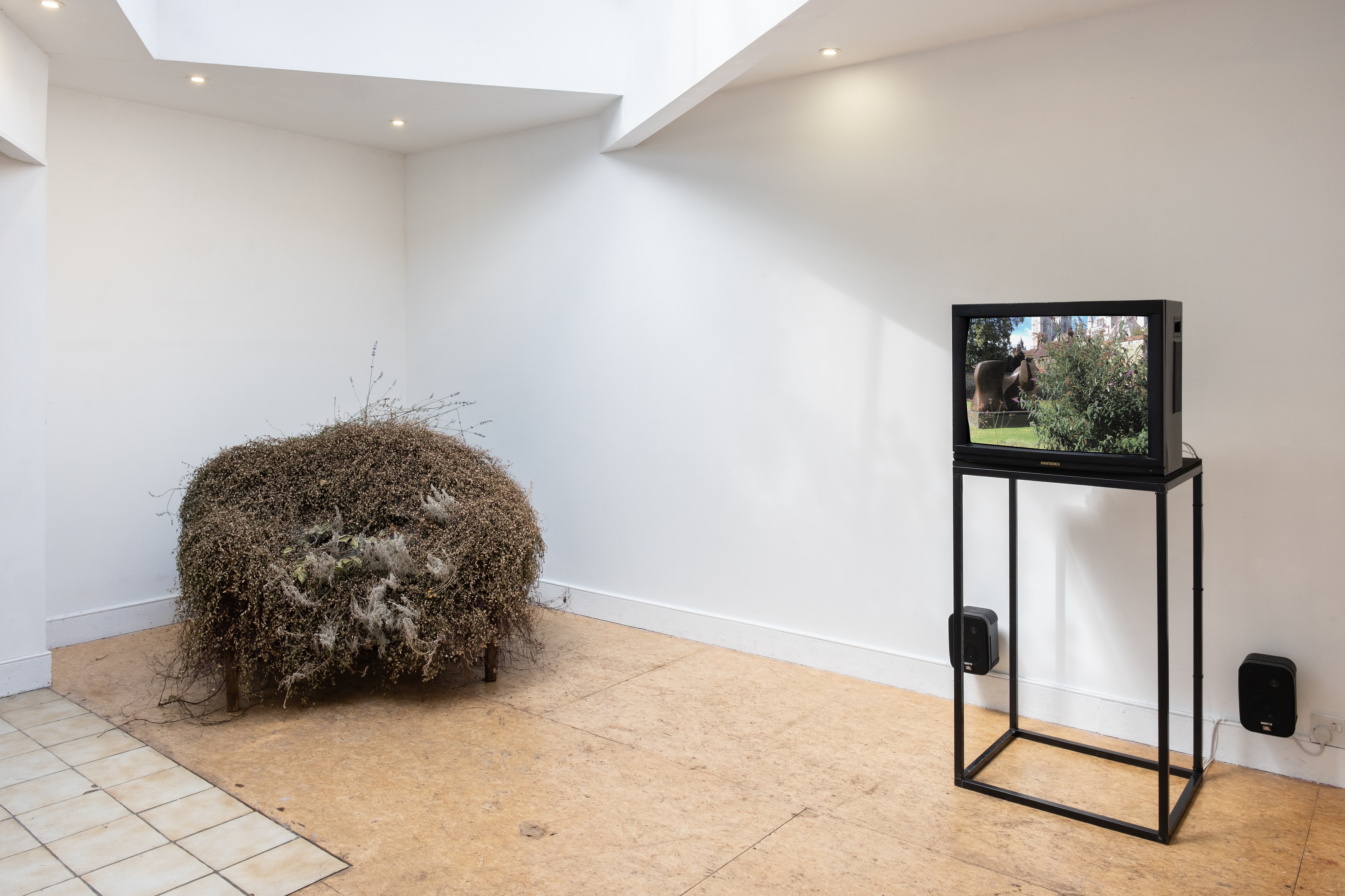 Installation view, Dana Munro: Change, man, 2026. Courtesy of the artist and Flat Time House, London.