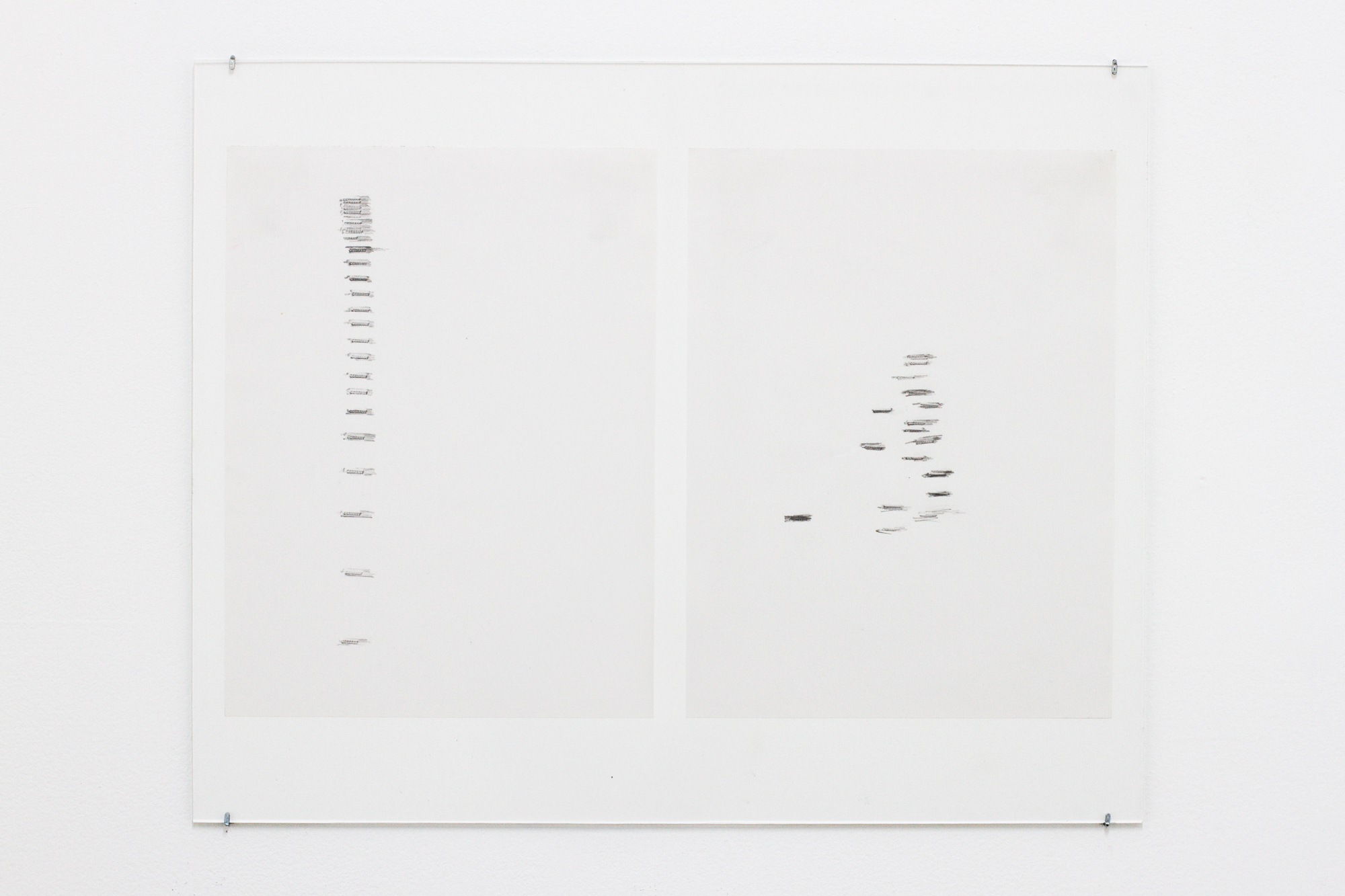 Installation view, Tayler Buss, Mahshid Rafiei, Anna Rubin, Justin Tenney at Chris Andrews (2026). Courtesy of the artists and Chris Andrews, Montréal.