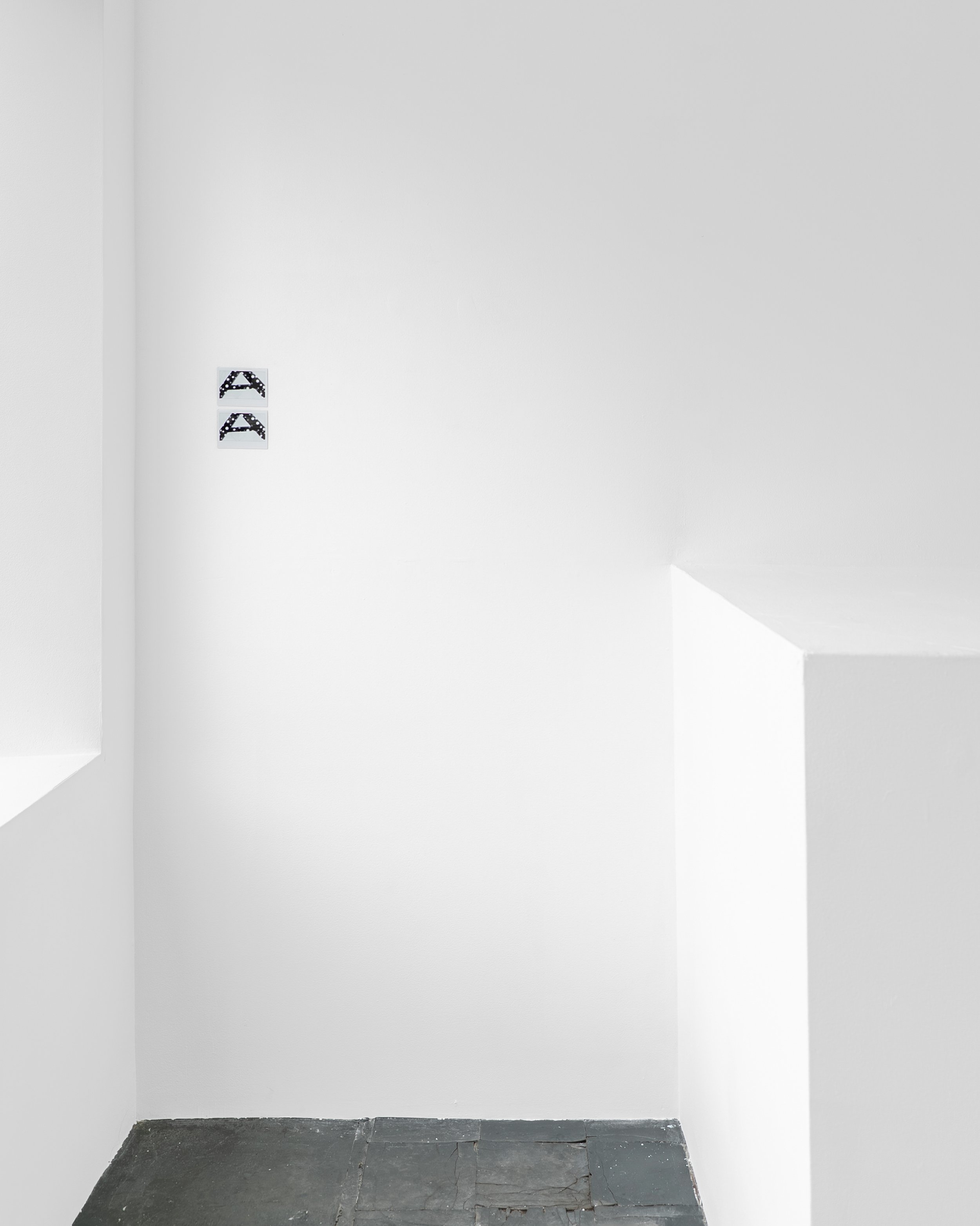 Installation view, Alice Ding: Normal Artists (2026). Courtesy of the artist and Hans Goodrich, Chicago.