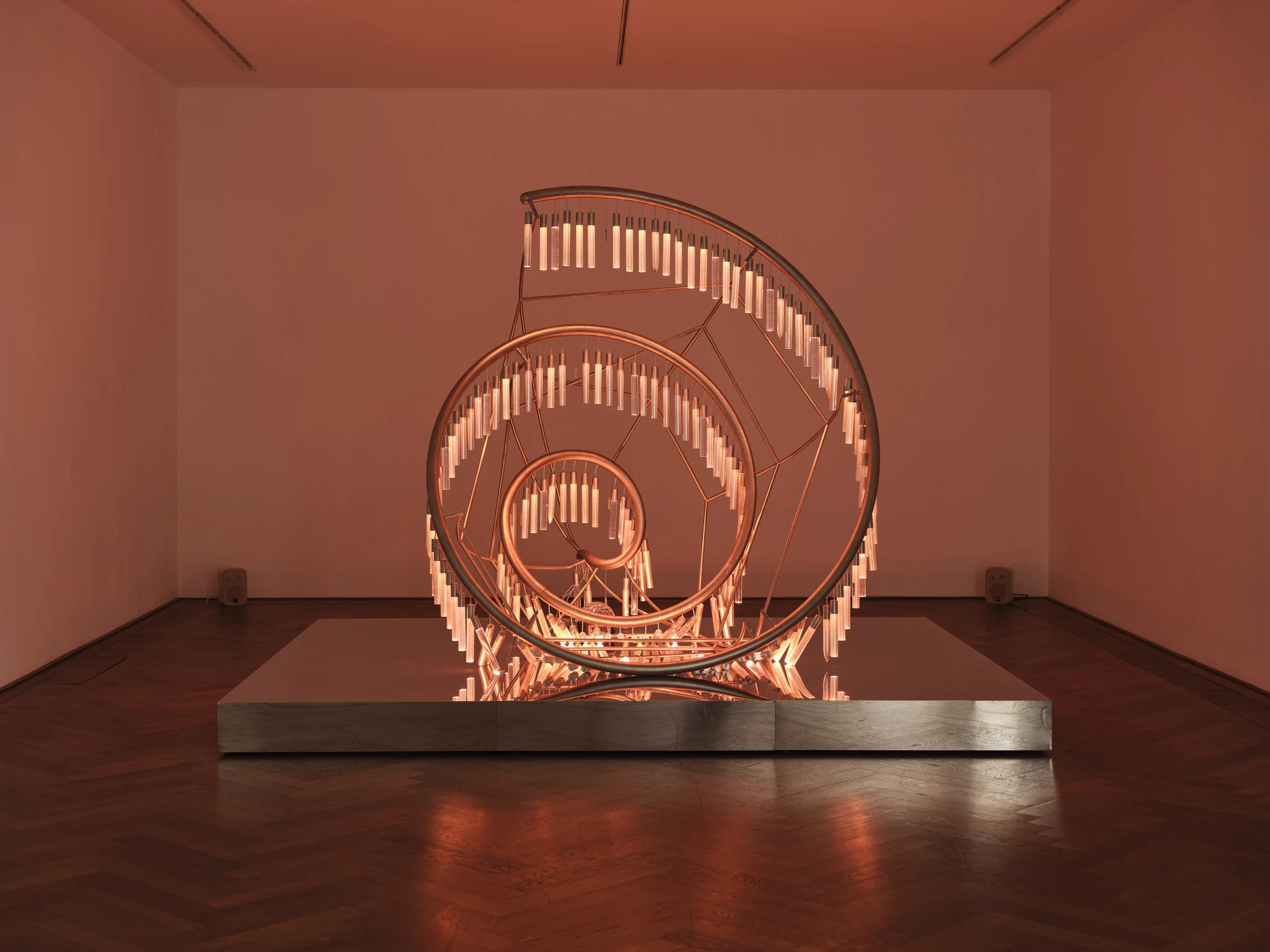 Installation view, Shuang Li: Alliance (2026).Photo: Philipp Hänger / Courtesy of the artist and Kunsthalle Basel, Basel.