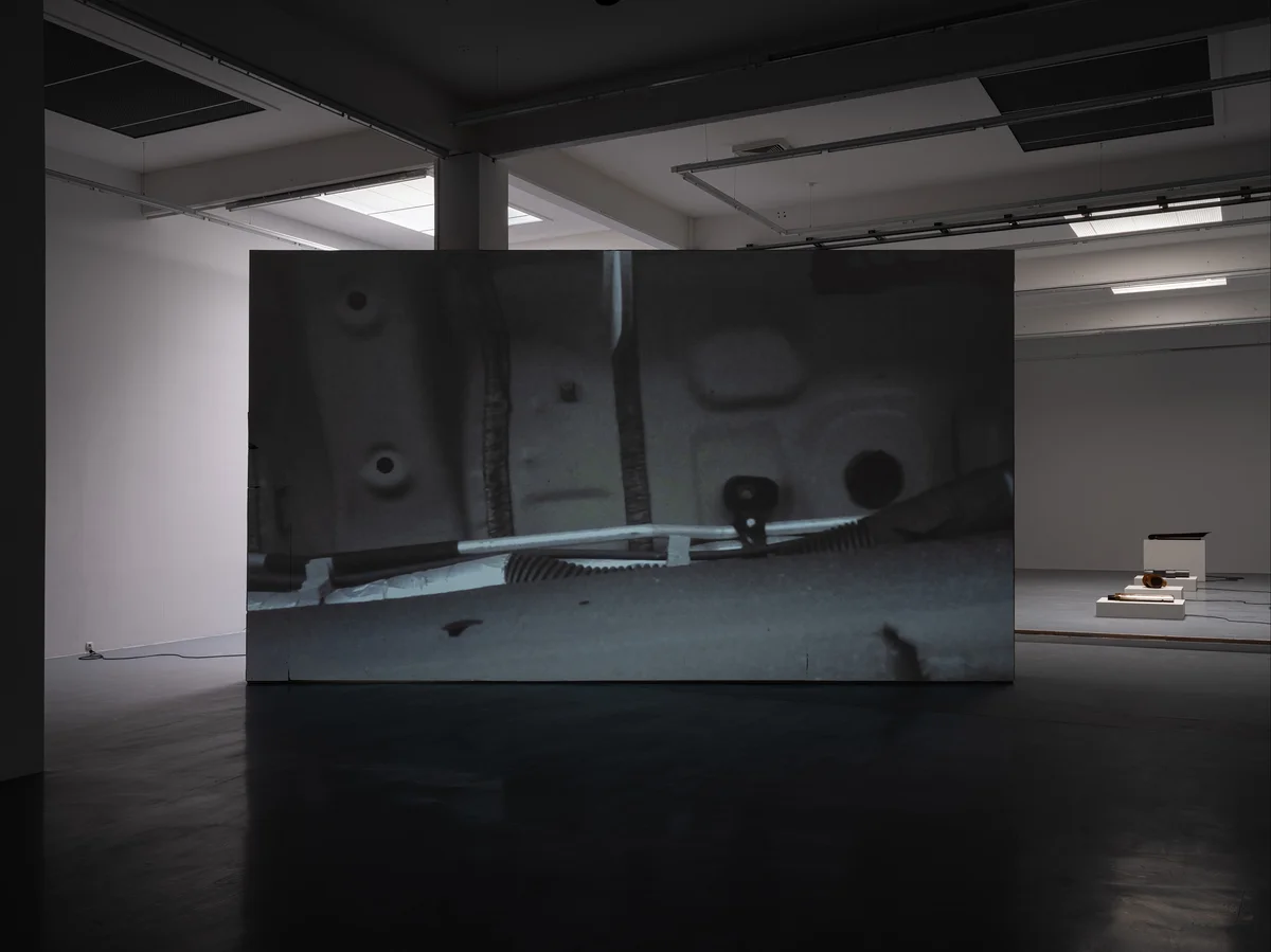 Dora Budor, Medium, 2025. Installation view, MY ENERGY COMES FROM FREEDOM, Bonner Kunstverein, 2026. Photo: Oskar Lee. Courtesy the artist and Galerie Molitor, Berlin.