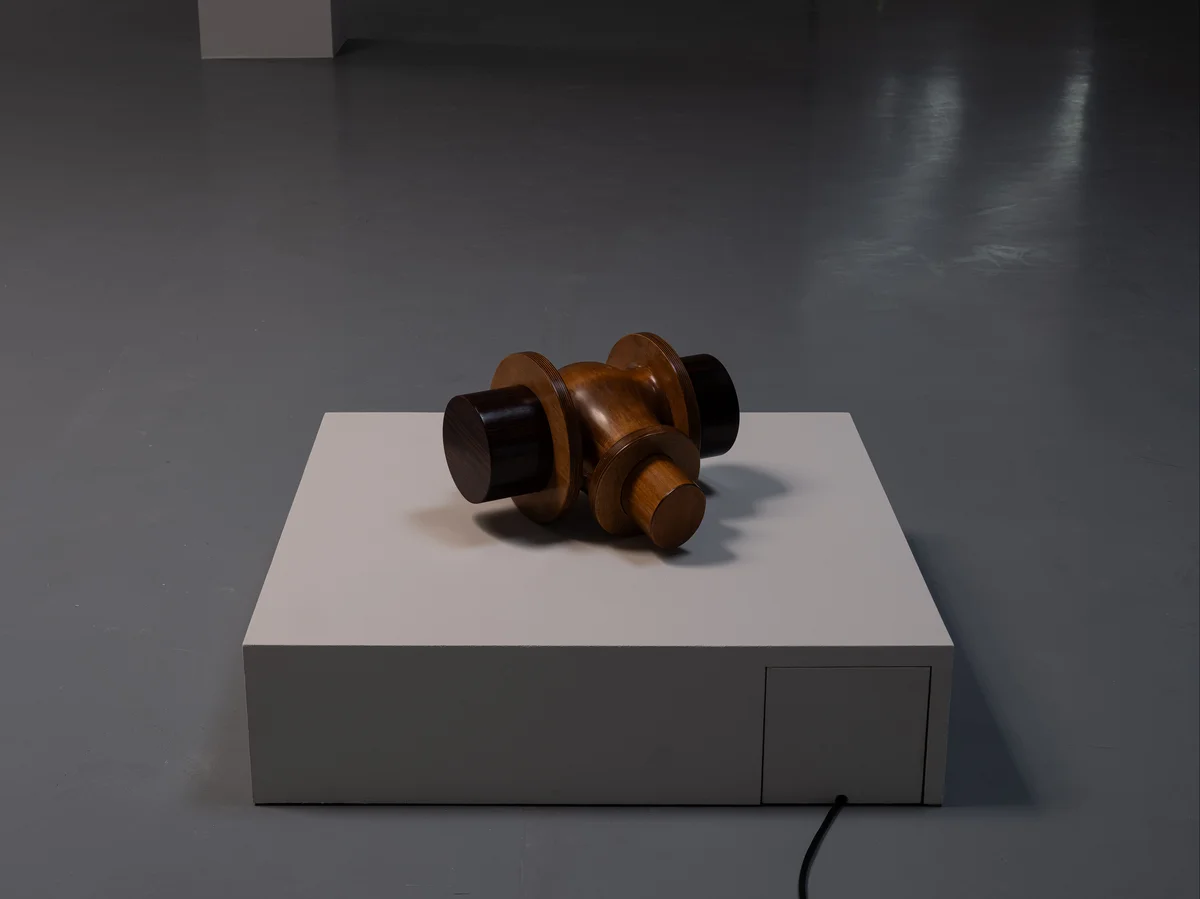 Dora Budor, Autophone (Bull), 2022. Installation view, MY ENERGY COMES FROM FREEDOM, Bonner Kunstverein, 2026. Photo: Oskar Lee. Courtesy the artist and Galerie Molitor, Berlin.