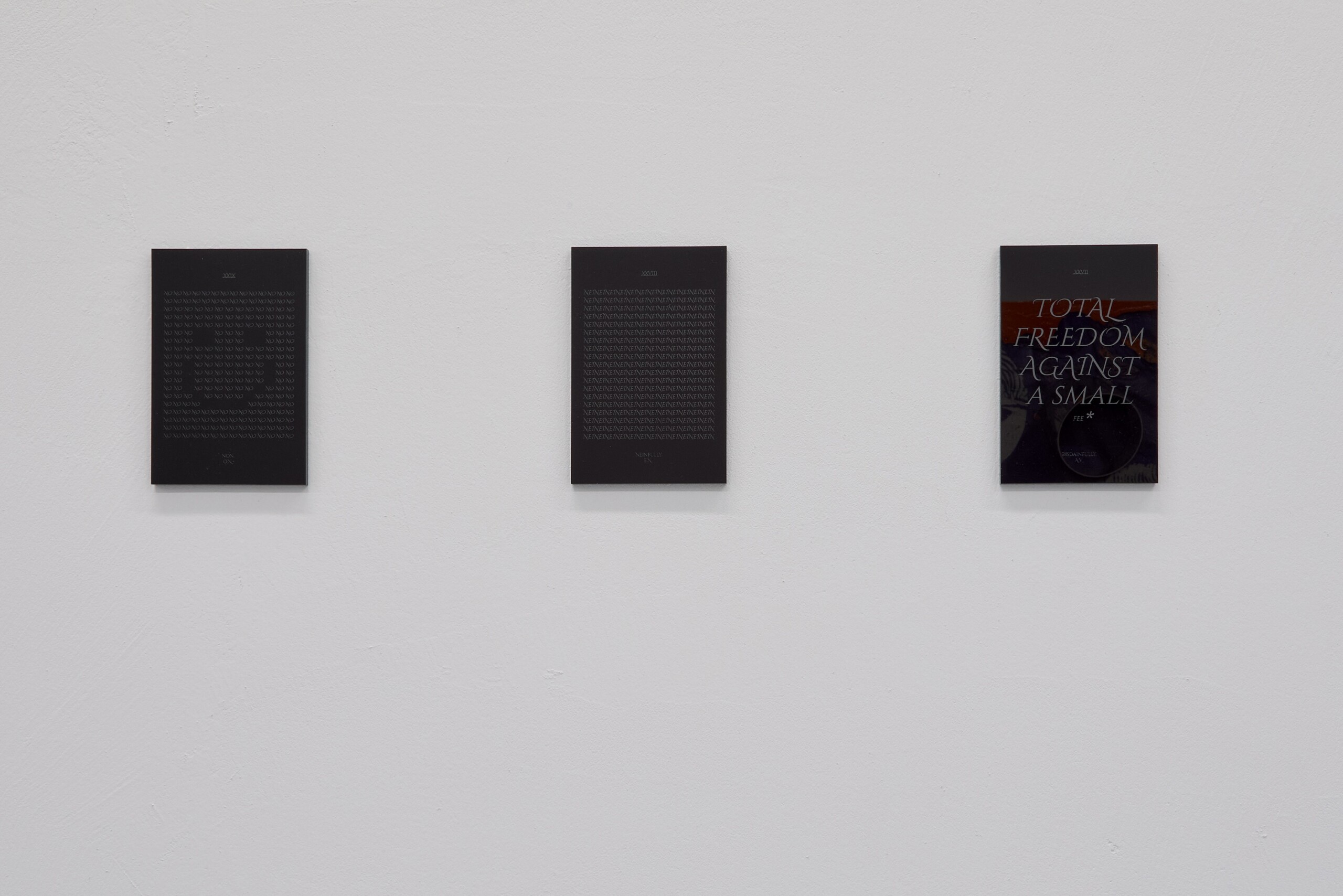 Installation view, Hidden Noise: Sonitus Occulti, Villa Lontana, Roma, 2026. Photo: Simon d’Exéa Installation view, Hidden Noise: Sonitus Occulti, Villa Lontana, Roma, 2026. Photo: Simon d’Exéa Installation view, Hidden Noise: Sonitus Occulti, Villa Lontana, Roma, 2026. Photo: Simon d’Exéa Installation view, Hidden Noise: Sonitus Occulti, Villa Lontana, Roma, 2026. Photo: Simon d’Exéa Cory Arcangel, 21-11-2023-11-31-35-input _gb-po-1913, 2023. Courtesy the artist and Galerie Thaddaeus Ropac. Installation view, Hidden Noise: Sonitus Occulti, Villa Lontana, Roma, 2026. Photo: Simon d’Exéa Hampus Lindwall, Noise Exposed, 2025 / Pierre Bismuth, Willow Boughs music sheet (After William Morris), 2026. Installation view, Hidden Noise: Sonitus Occulti, Villa Lontana, Roma, 2026. Photo: Simon d’Exéa Phill Niblock, LIGHT PATTERNS, 1985–1992 / Haroon Mirza, Robot Co-organist, 2019. Installation view, Hidden Noise: Sonitus Occulti, Villa Lontana, Roma, 2026. Photo: Simon d’Exéa Installation view, Hidden Noise: Sonitus Occulti, Villa Lontana, Roma, 2026. Photo: Simon d’Exéa Hanne Lippard, Echo Curse XXII, 2021. Courtesy the artist and Isabella Ritter. Installation view, Hidden Noise: Sonitus Occulti, Villa Lontana, Roma, 2026. Photo: Simon d’Exéa