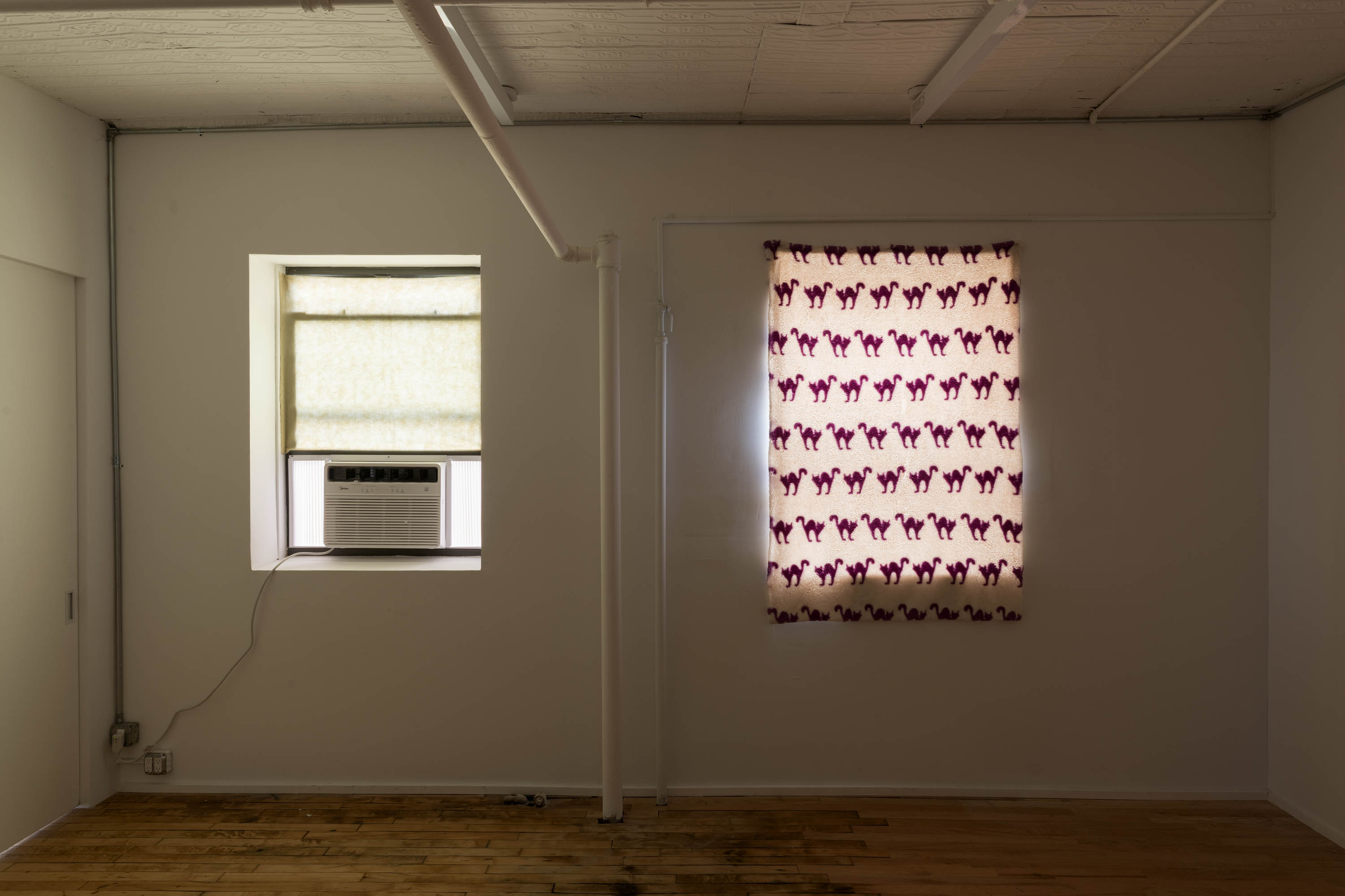Installation view, Michael E. Smith (2026). Courtesy of the artist and Maxwell Graham, New York.