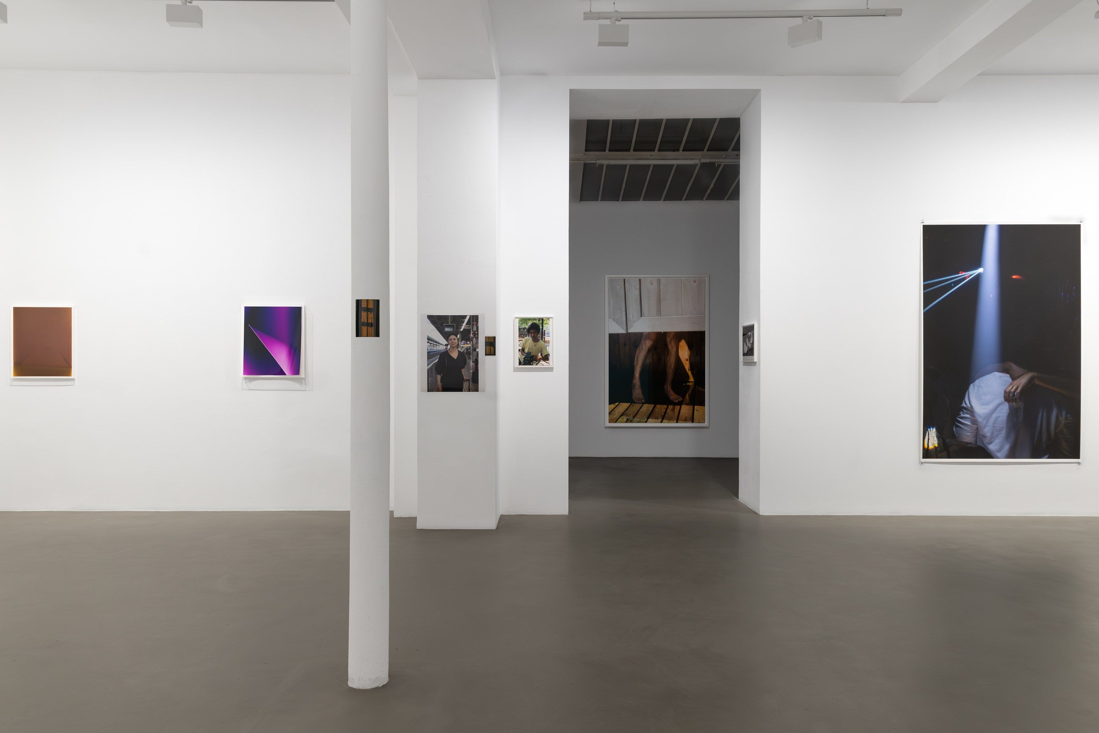 Wolfgang Tillmans, Glade / Clairière, exhibition view, Galerie Chantal Crousel, Paris (2026). Photo: Jiayun Deng—Galerie Chantal Crousel.