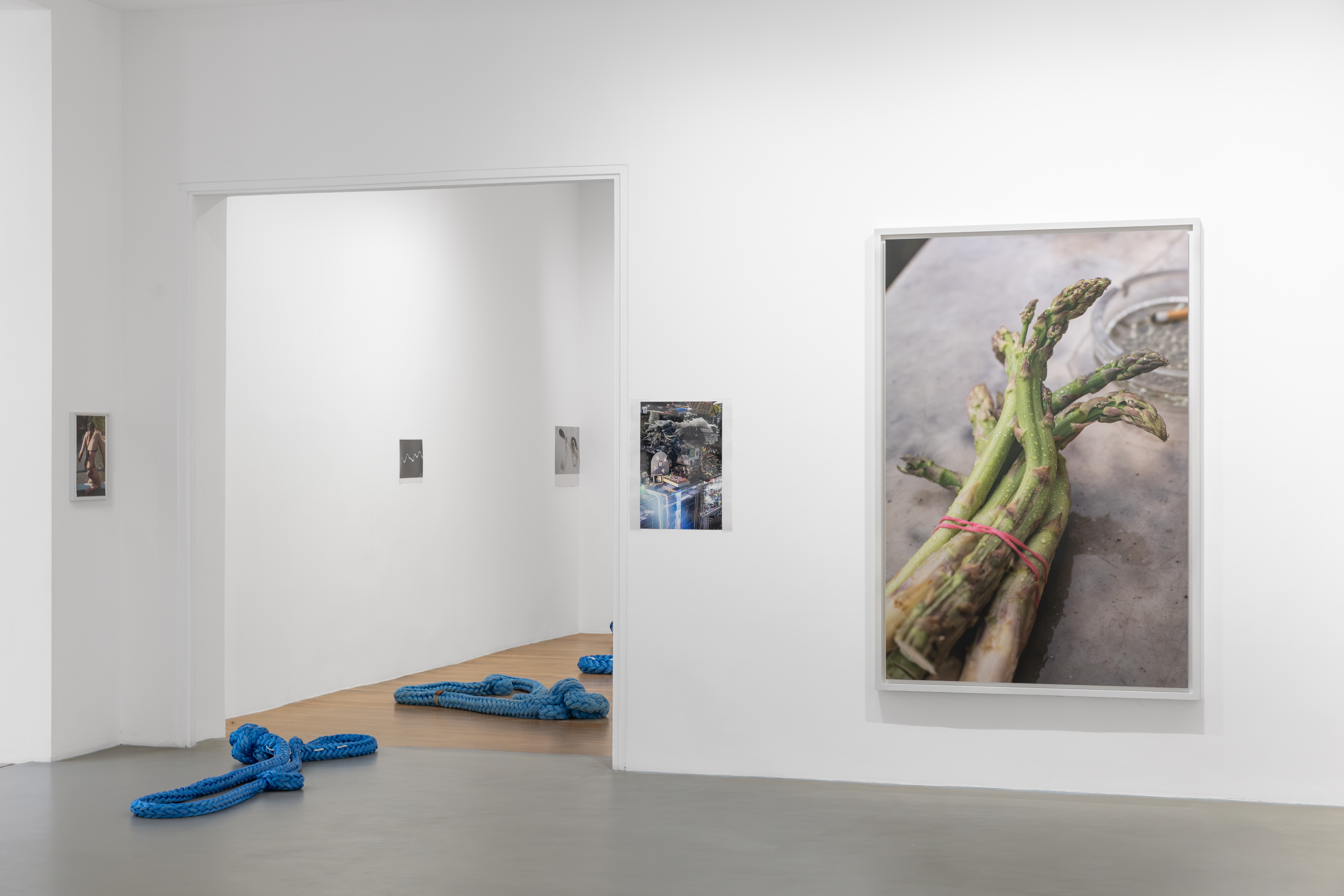 Wolfgang Tillmans, Glade / Clairière, exhibition view, Galerie Chantal Crousel, Paris (2026). Photo: Jiayun Deng—Galerie Chantal Crousel.