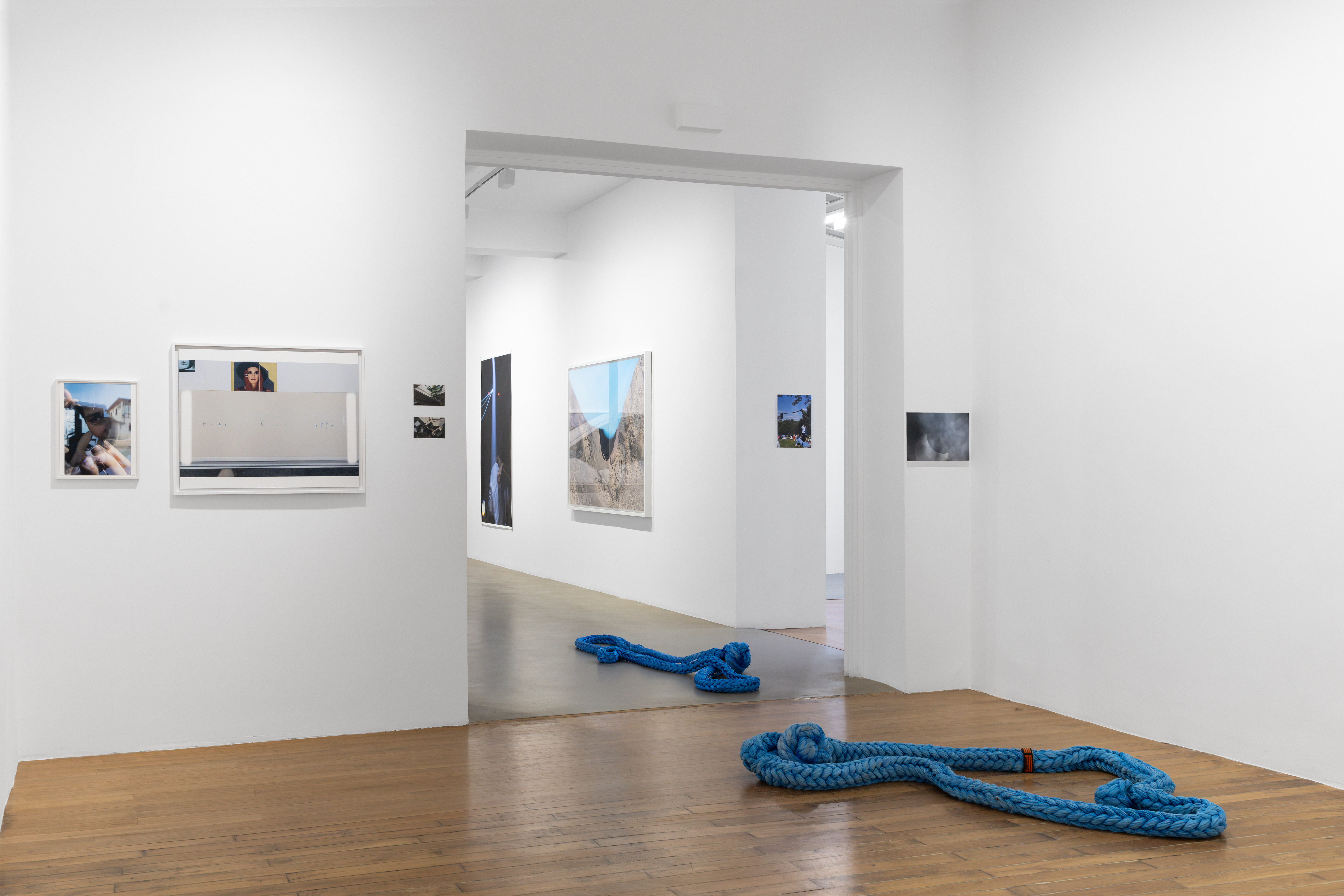 Wolfgang Tillmans, Glade / Clairière, exhibition view, Galerie Chantal Crousel, Paris (2026). Photo: Jiayun Deng—Galerie Chantal Crousel.