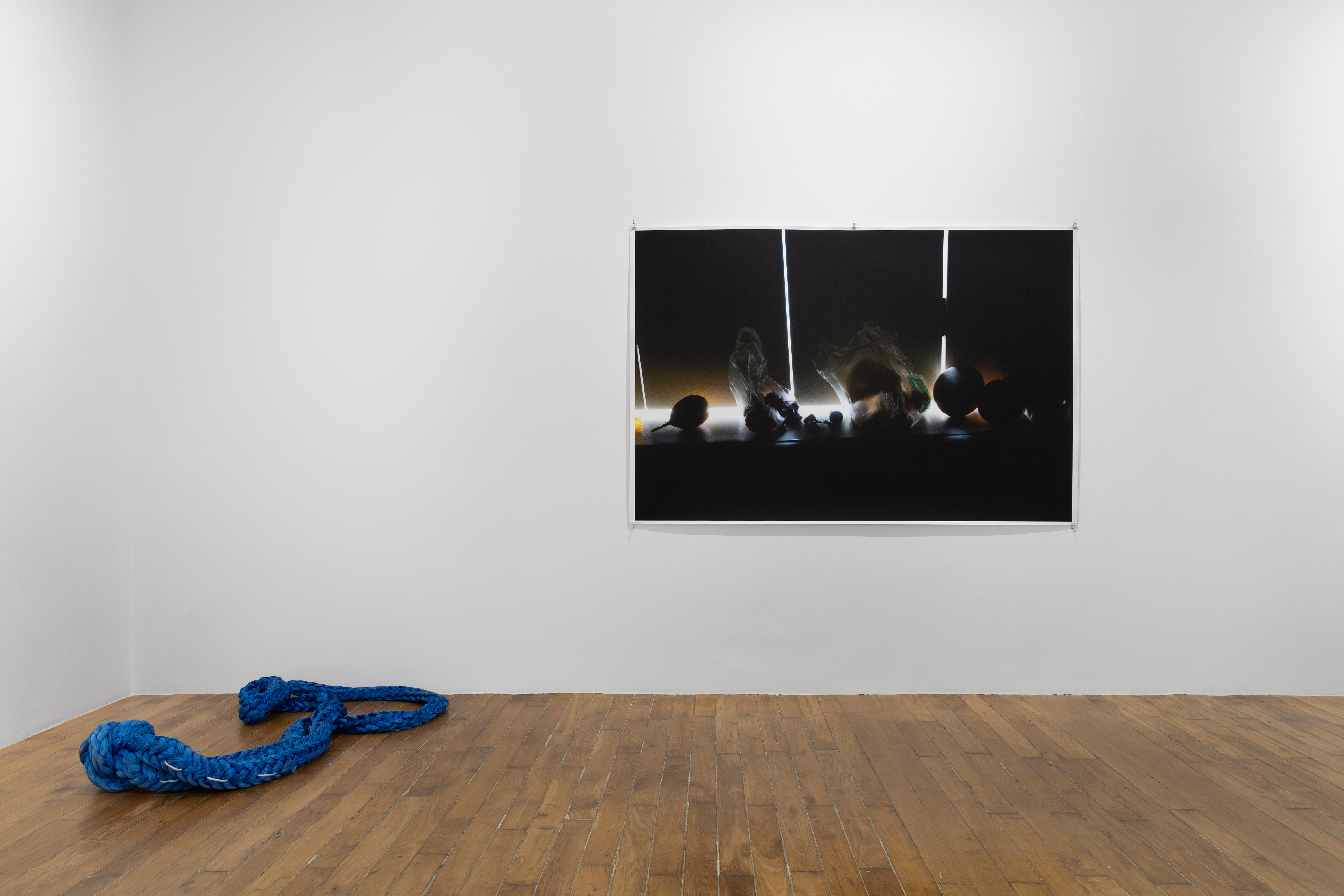 Wolfgang Tillmans, Glade / Clairière, exhibition view, Galerie Chantal Crousel, Paris (2026). Photo: Jiayun Deng—Galerie Chantal Crousel.