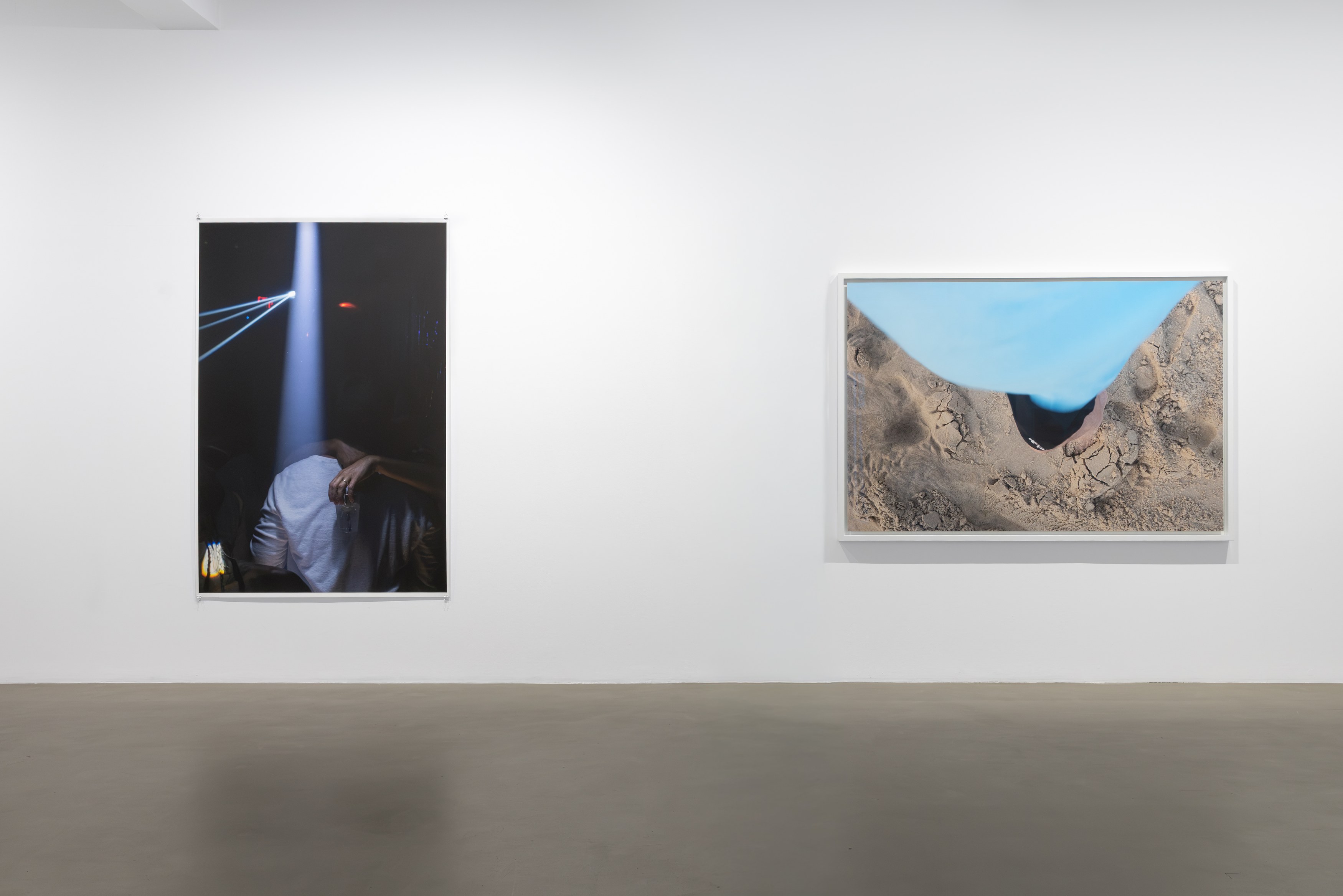 Wolfgang Tillmans, Glade / Clairière, exhibition view, Galerie Chantal Crousel, Paris (2026). Photo: Jiayun Deng—Galerie Chantal Crousel.