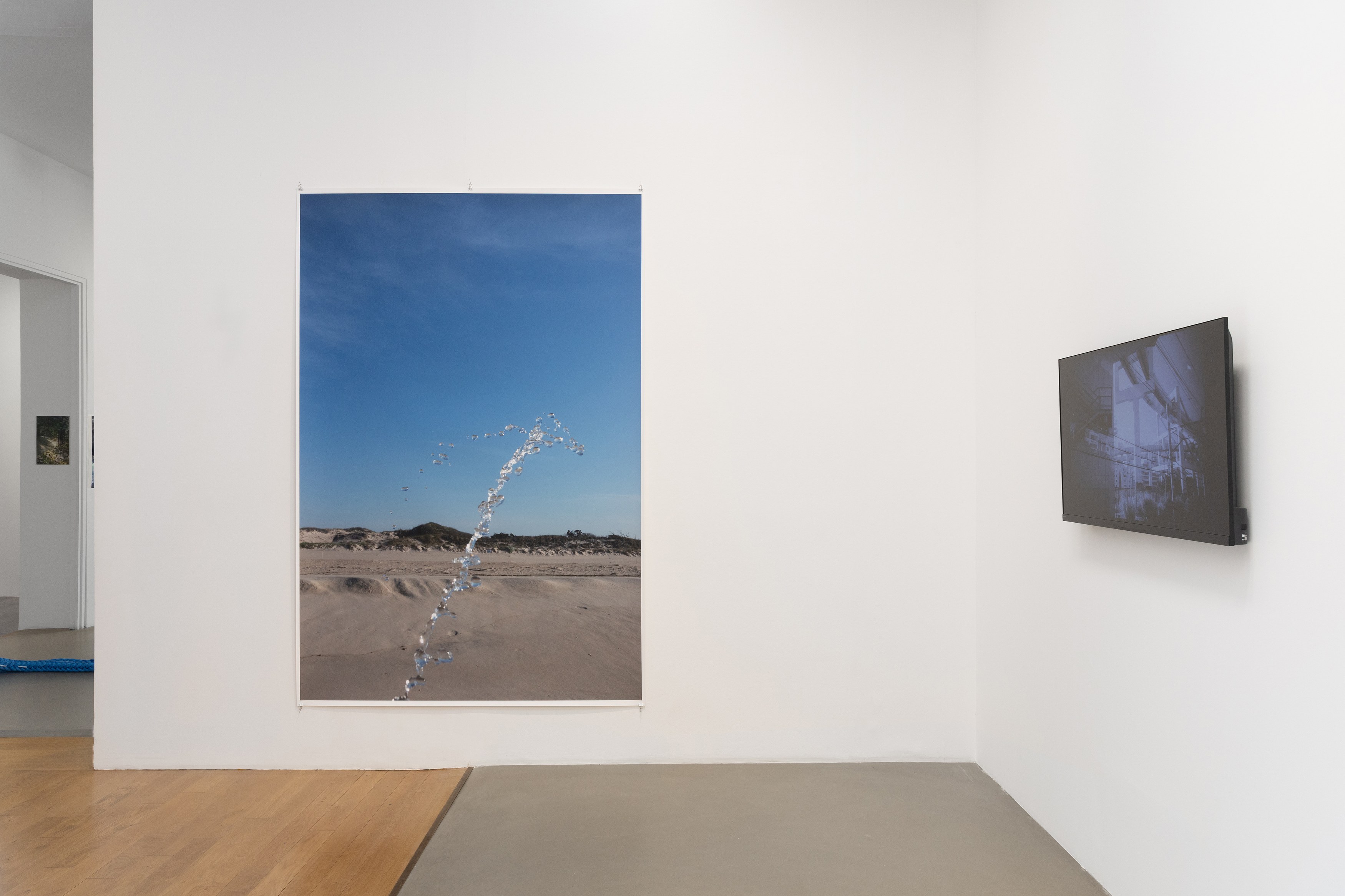Wolfgang Tillmans, Glade / Clairière, exhibition view, Galerie Chantal Crousel, Paris (2026). Photo: Jiayun Deng—Galerie Chantal Crousel.