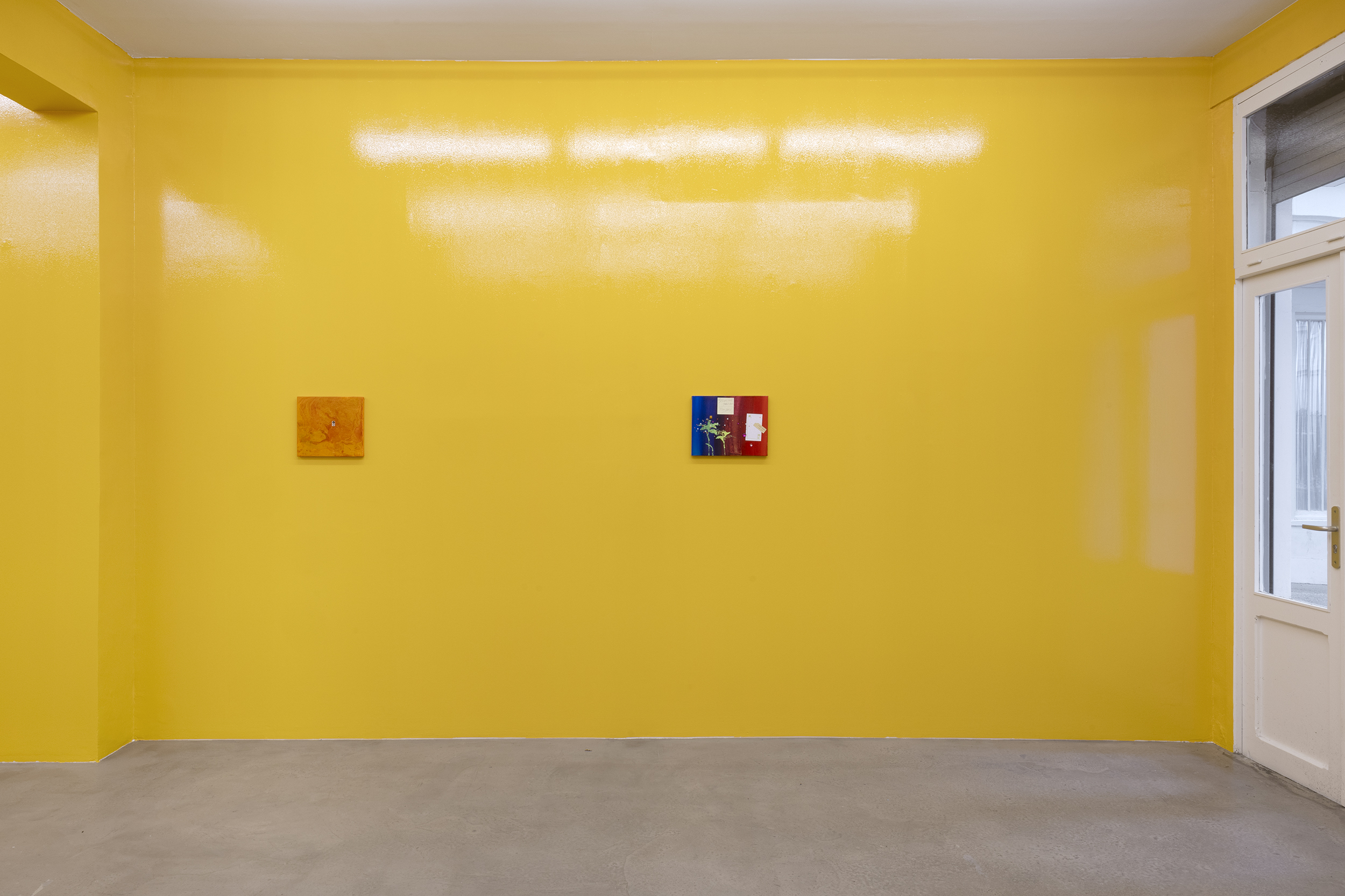 Installation view, Maggie Lee: New Life (2026). Courtesy of the artist and Édouard Montassut, Paris.