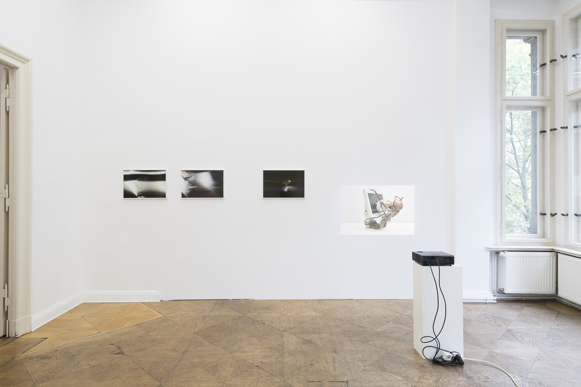 Installation view, This! (2026). Courtesy of the artist and Schiefe Zähne, Berlin.
