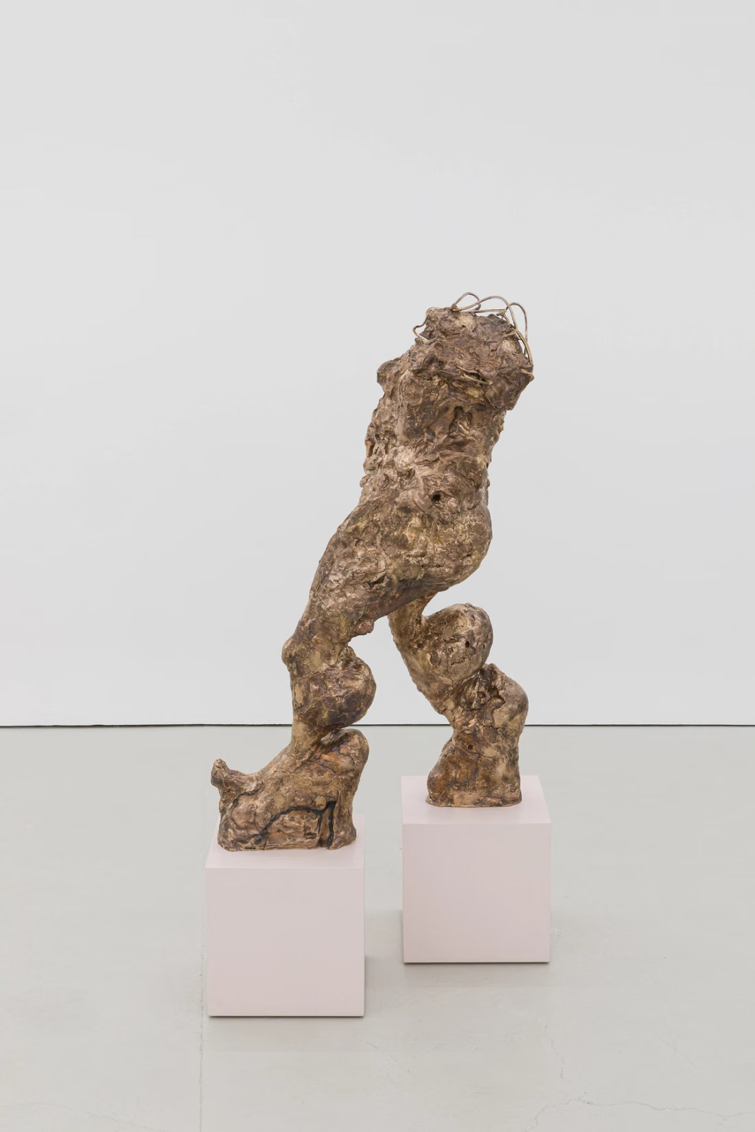 Rebecca Warren, Stalker, hand-painted bronze on painted MDF plinths, overall: 136.5 × 68 × 68 cm53 3/4 × 26 3/4 × 26 3/4 in bronze: 106 × 46 × 62 cm41 3/4 × 18 1/8 × 24 3/8 in plinths: 30 × 30 × 30 cm11 3/4 × 11 3/4 × 11 3/4 in 1 of 2 casts each painted uniquely + 1 artist copy, 2010/2026. Courtesy of the artist and Maureen Paley.
