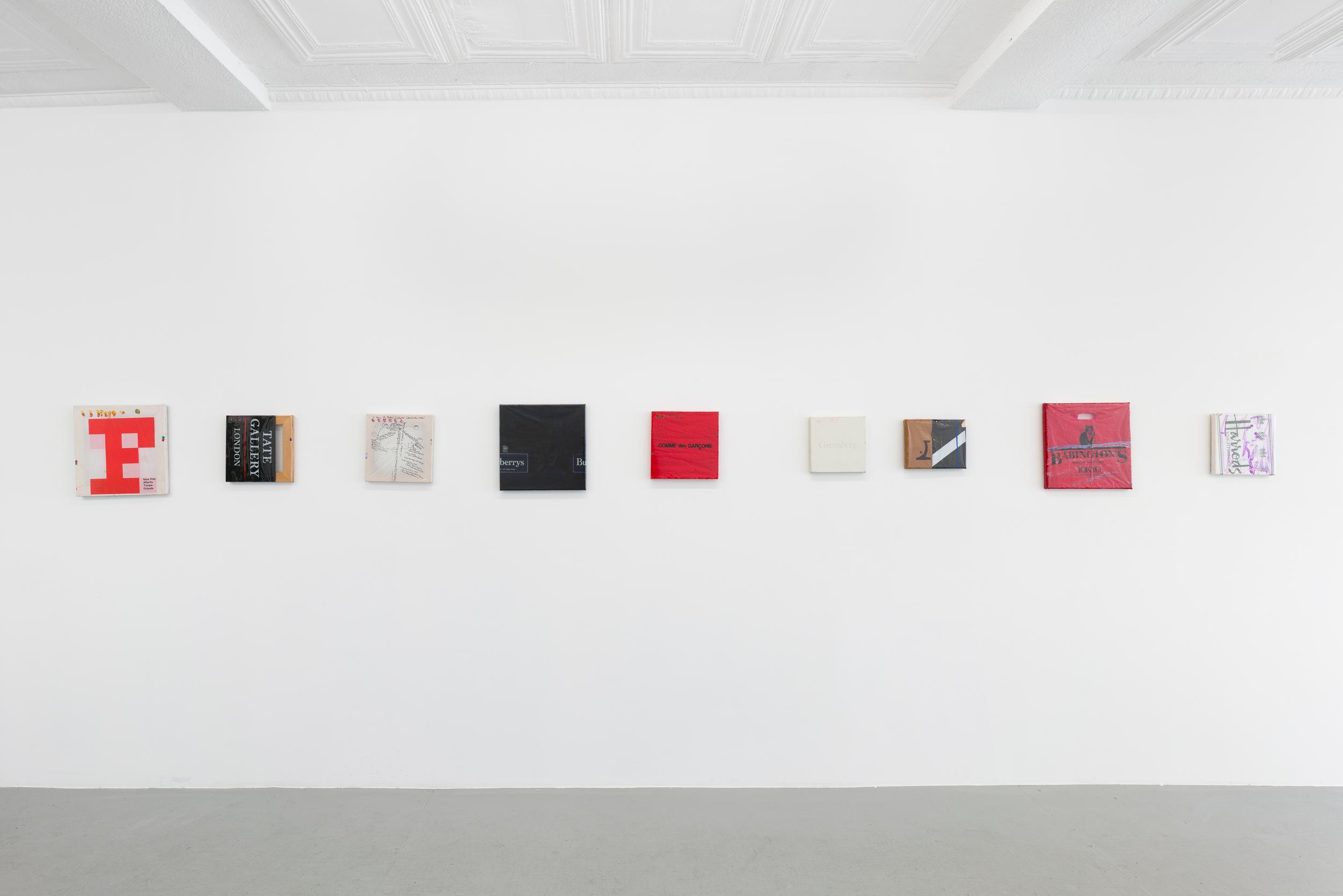 Installation view, Tam Ochiai: TAPETUM LUCIDUM (2026). Courtesy of the artist and Ulrik, New York. 
