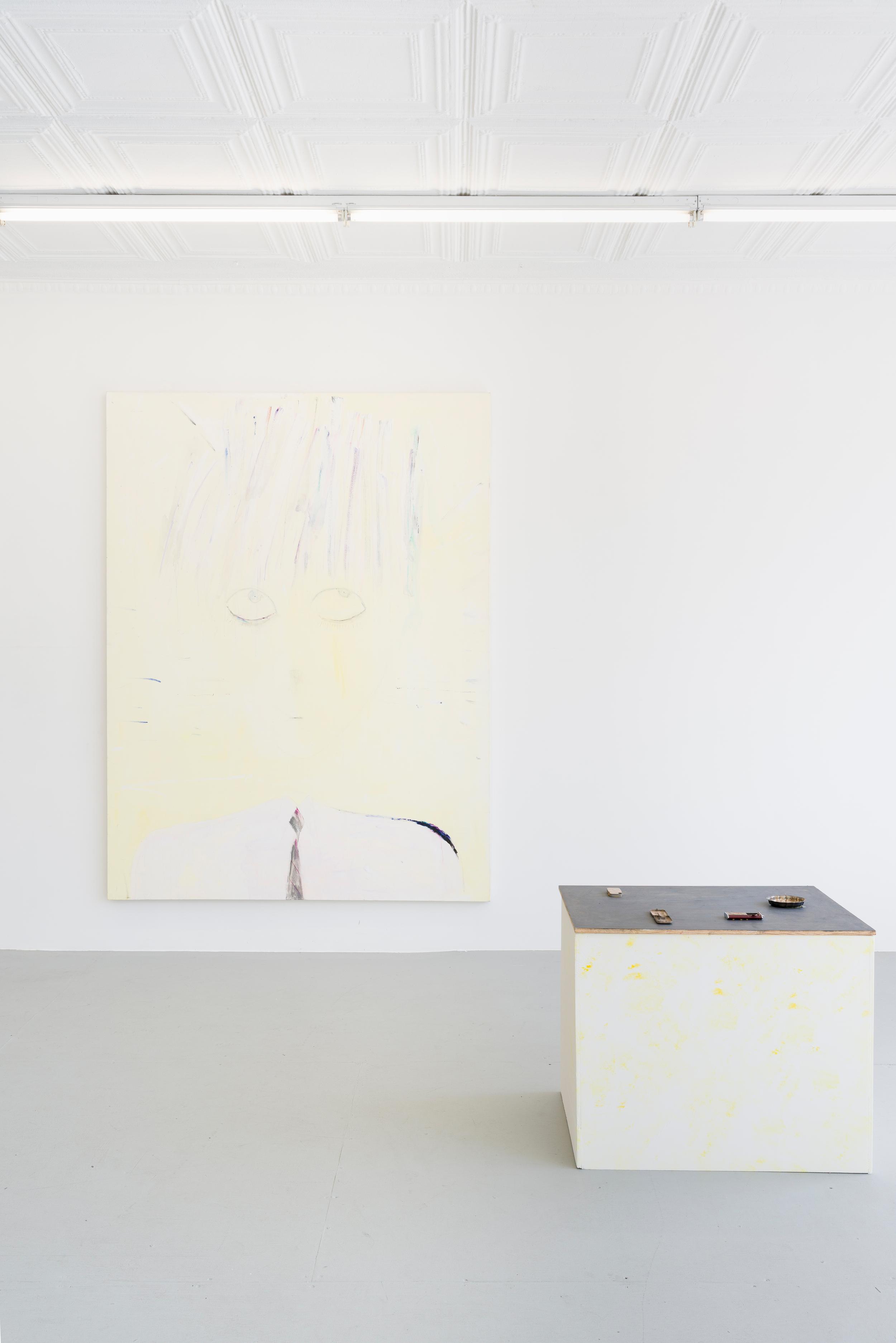Installation view, Tam Ochiai: TAPETUM LUCIDUM (2026). Courtesy of the artist and Ulrik, New York. 
