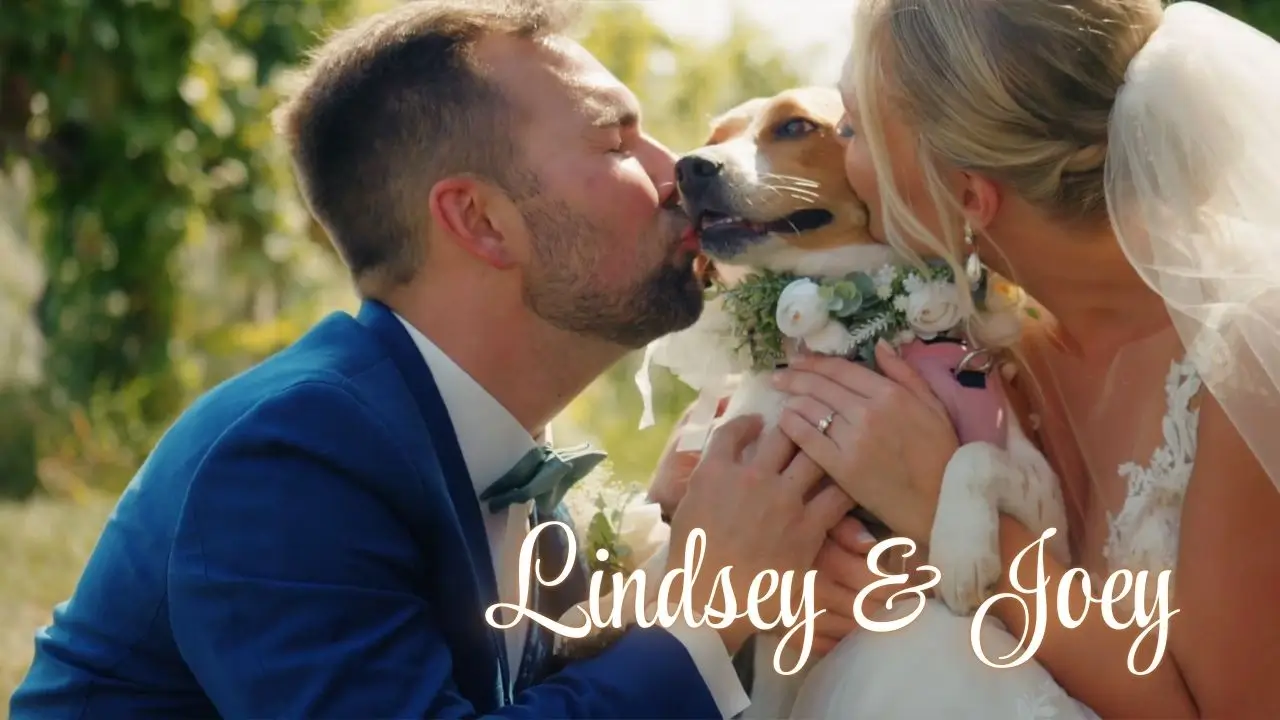 Lindsey & Joey held an elegant event at Ciccone Vineyard & Winery in Traverse City, which made their wedding video lush and beautiful!