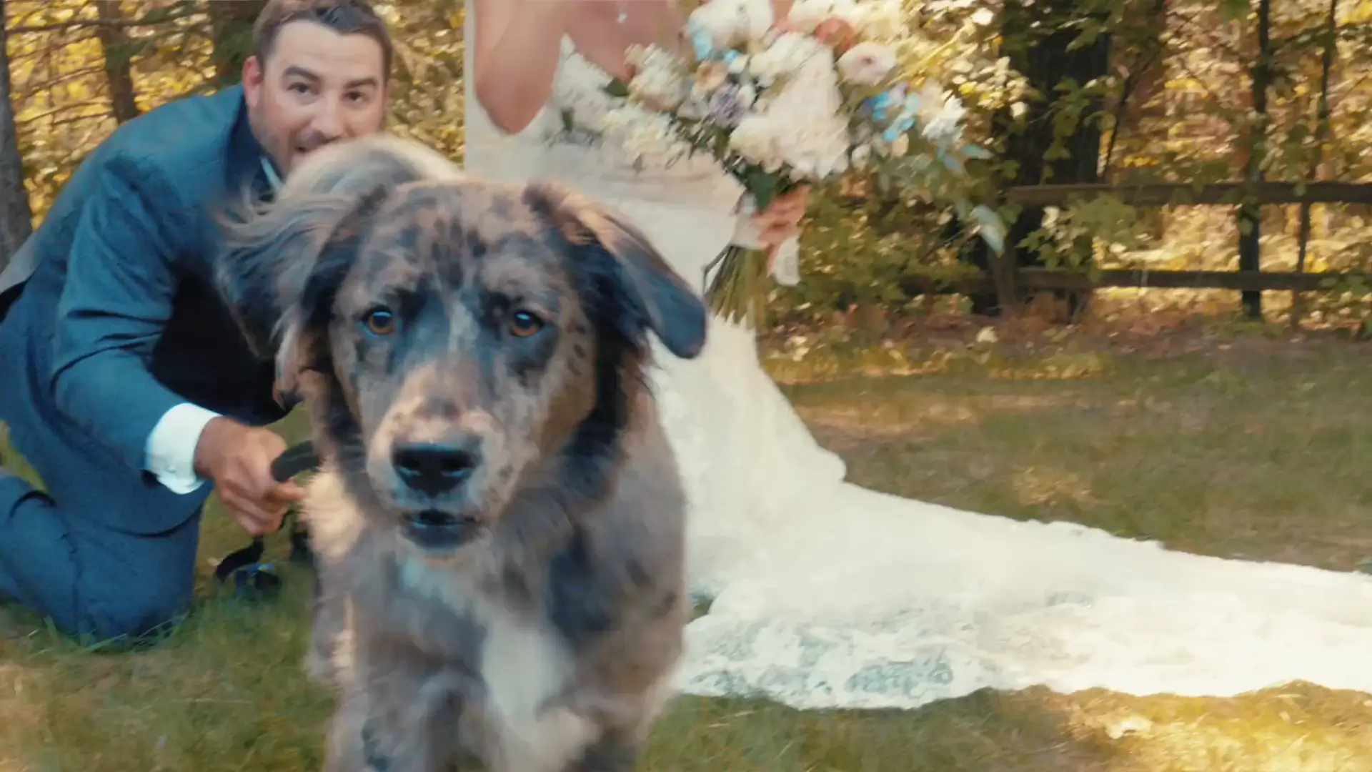 In this playful snapshot from Caroline and Matt's wedding video, the couple and their dog delight the camera in a vibrant Michigan forest setting, capturing the joyful, candid essence of their special day.
