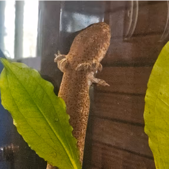 "Bagel" Finds a New Home in the EcoStation