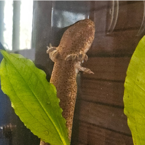 "Bagel" Finds a New Home in the EcoStation