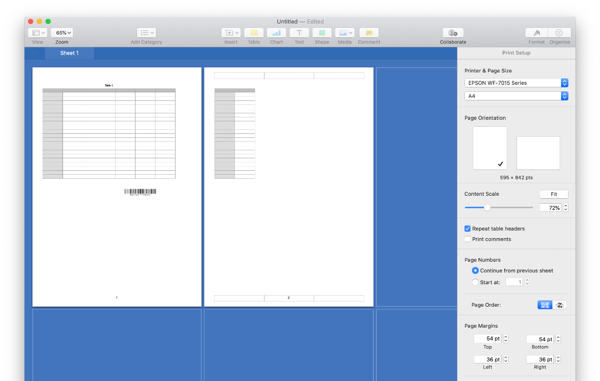 Verify the barcode is in the page margins in Print Setup