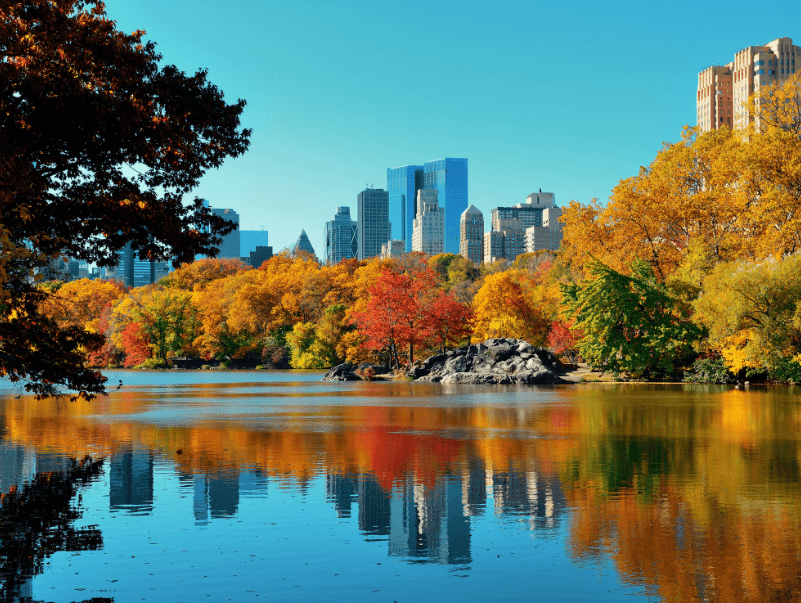 An image of fall in New York. Central Park with the leaves changing colors.