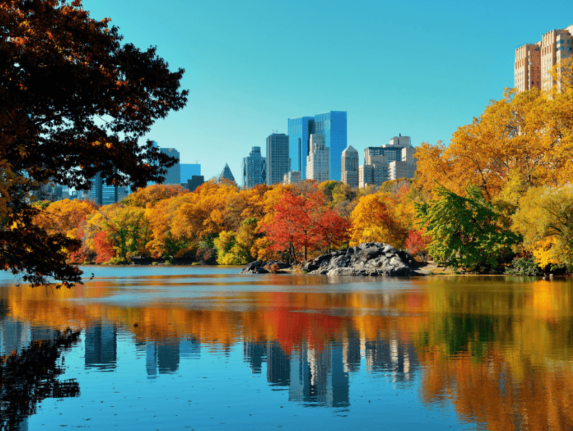 A beautiful scenic shot of Central Park and the leaves on the trees changing color during fall