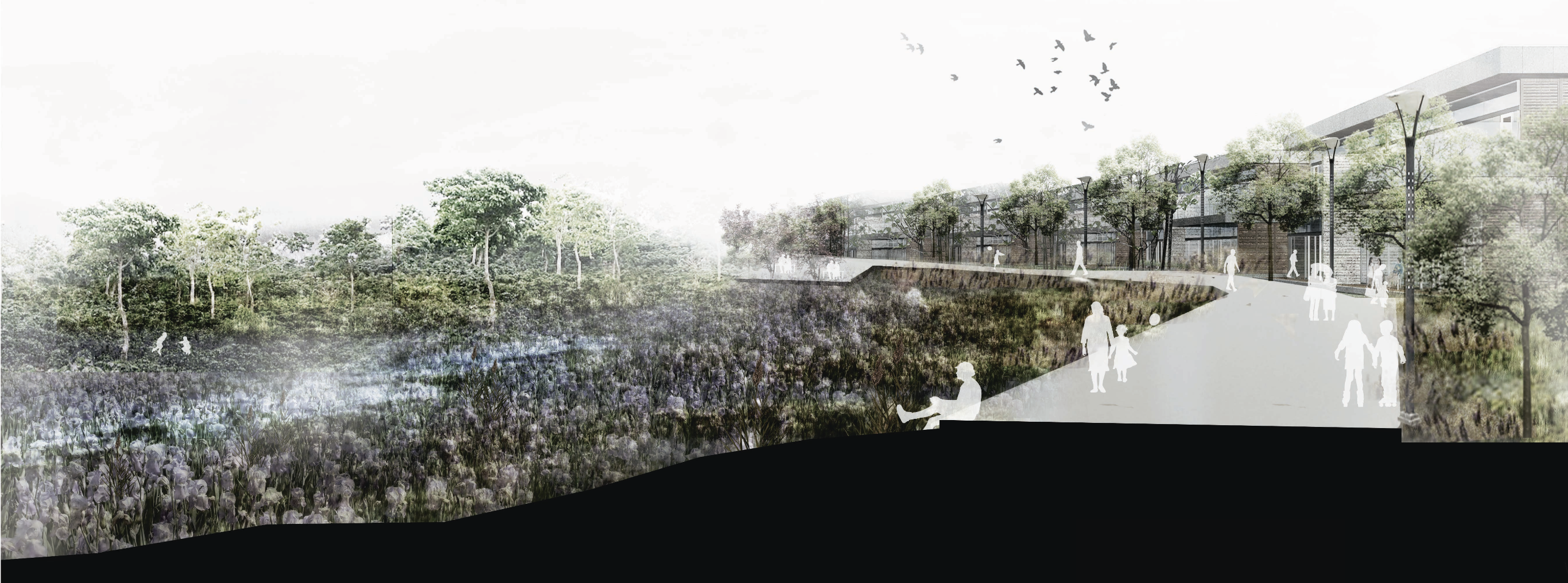 Landscape architecture work sample