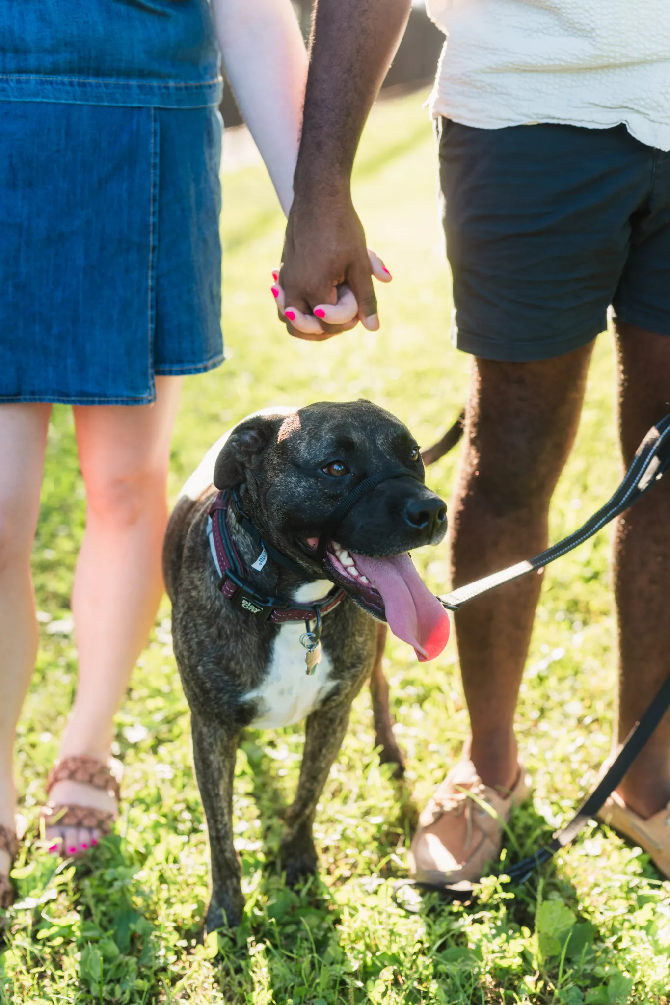 Pittsburgh Engagement Photographer 
