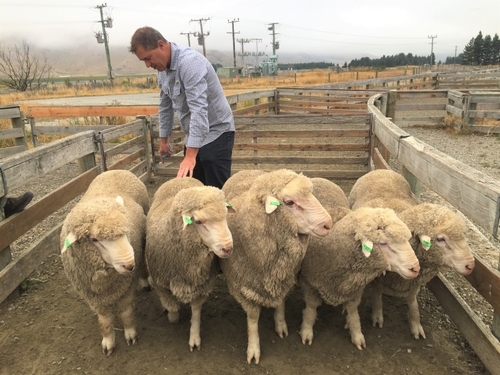 do-breeding-values-really-work