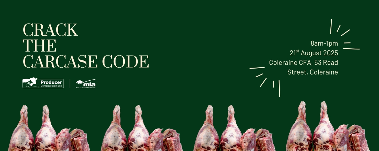 Workshop flyer for 'Crack the carcase code' workshop