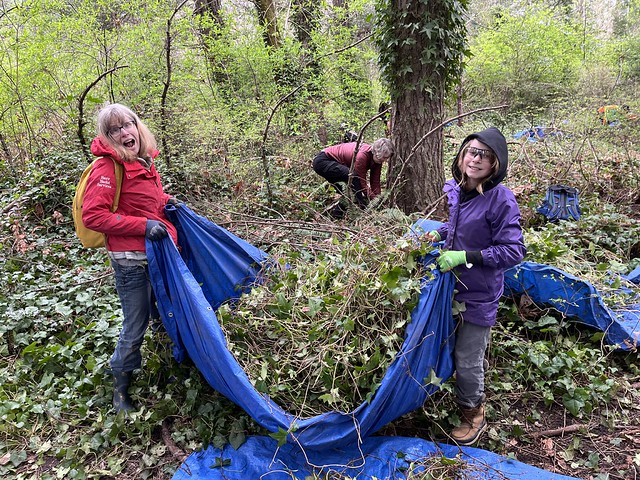 Nature cleanups: good for the forest, great for your brain